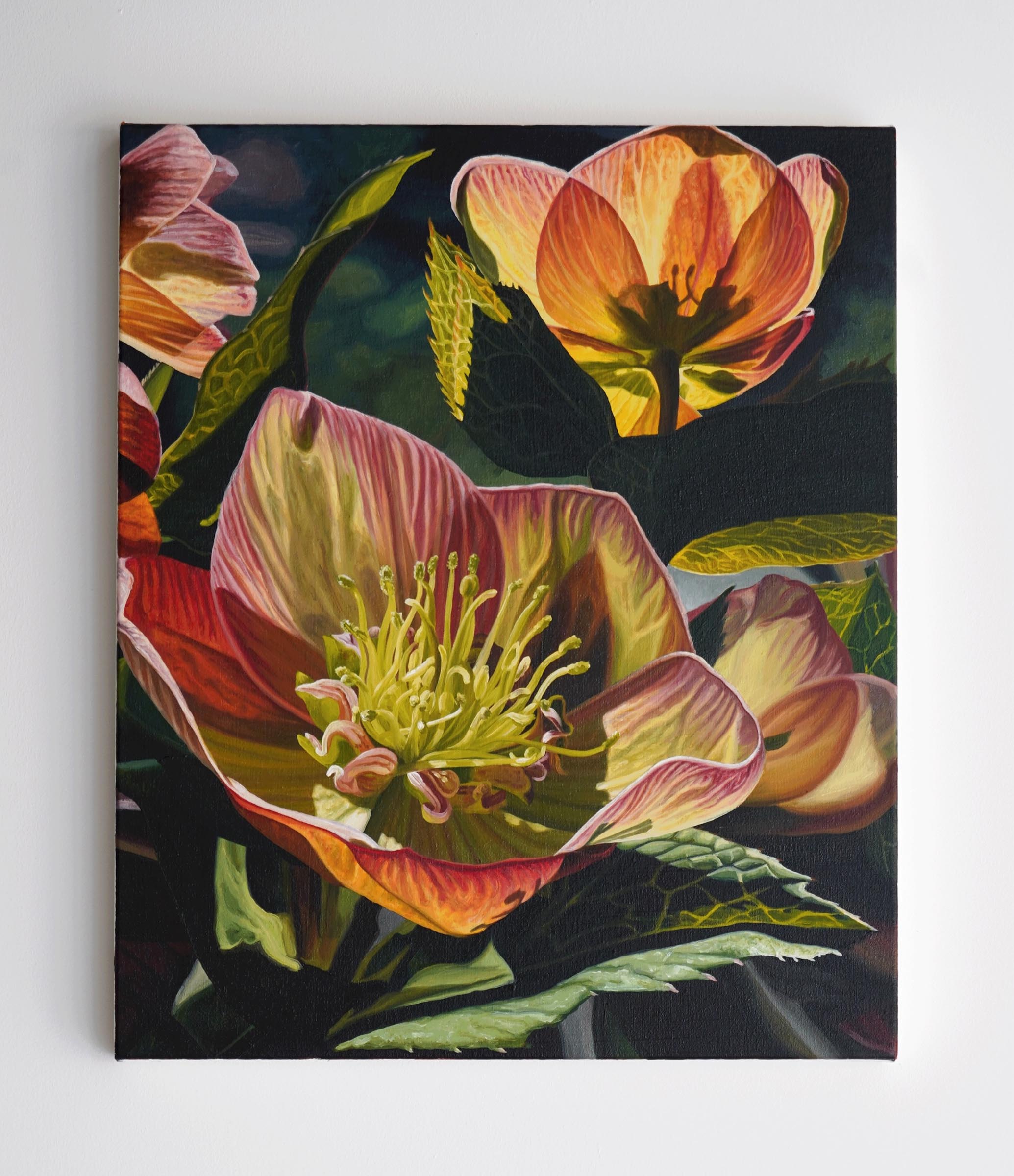 Kate-Bickmore-Innovate-Grant_09