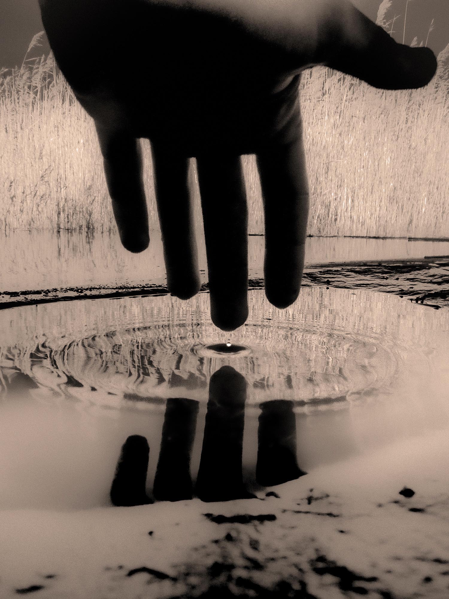 Francisco-Gonzalez-Camacho-Youcantenterthesamerivertwice_03