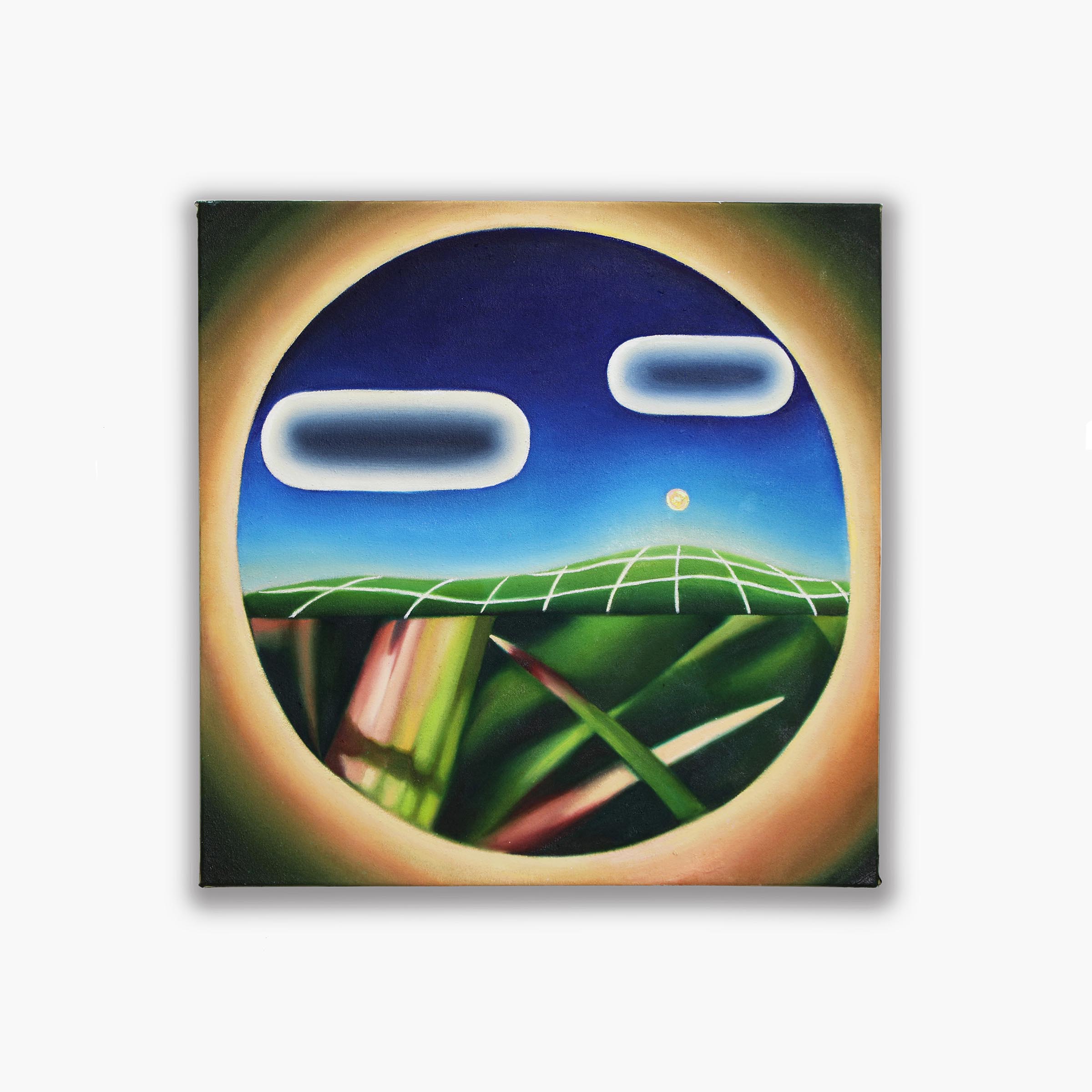 Qin-Tan-A-World-Within-Pink-Halo_Acrylic-and-Oil-on-Canvas-20x-20-inches