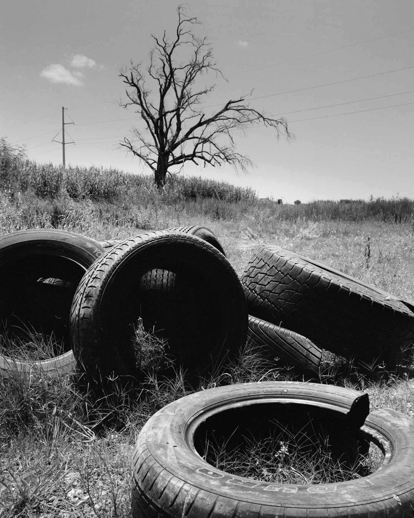 golden_meadow_old_tires_BW-Sam-Muller-Innovate-Grant