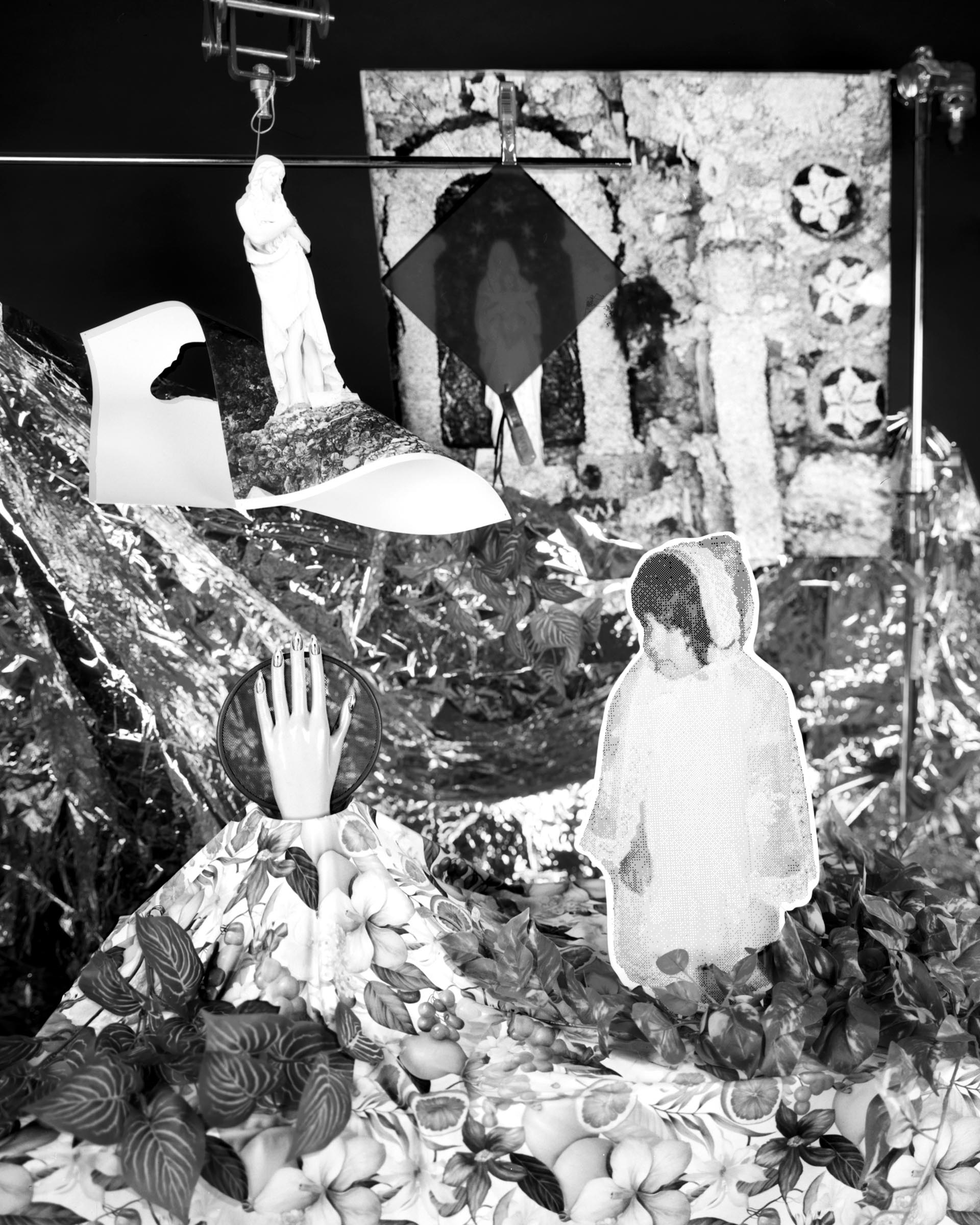 Sammie-Correa-Innovate-Grant_PassivePalmInAbundance