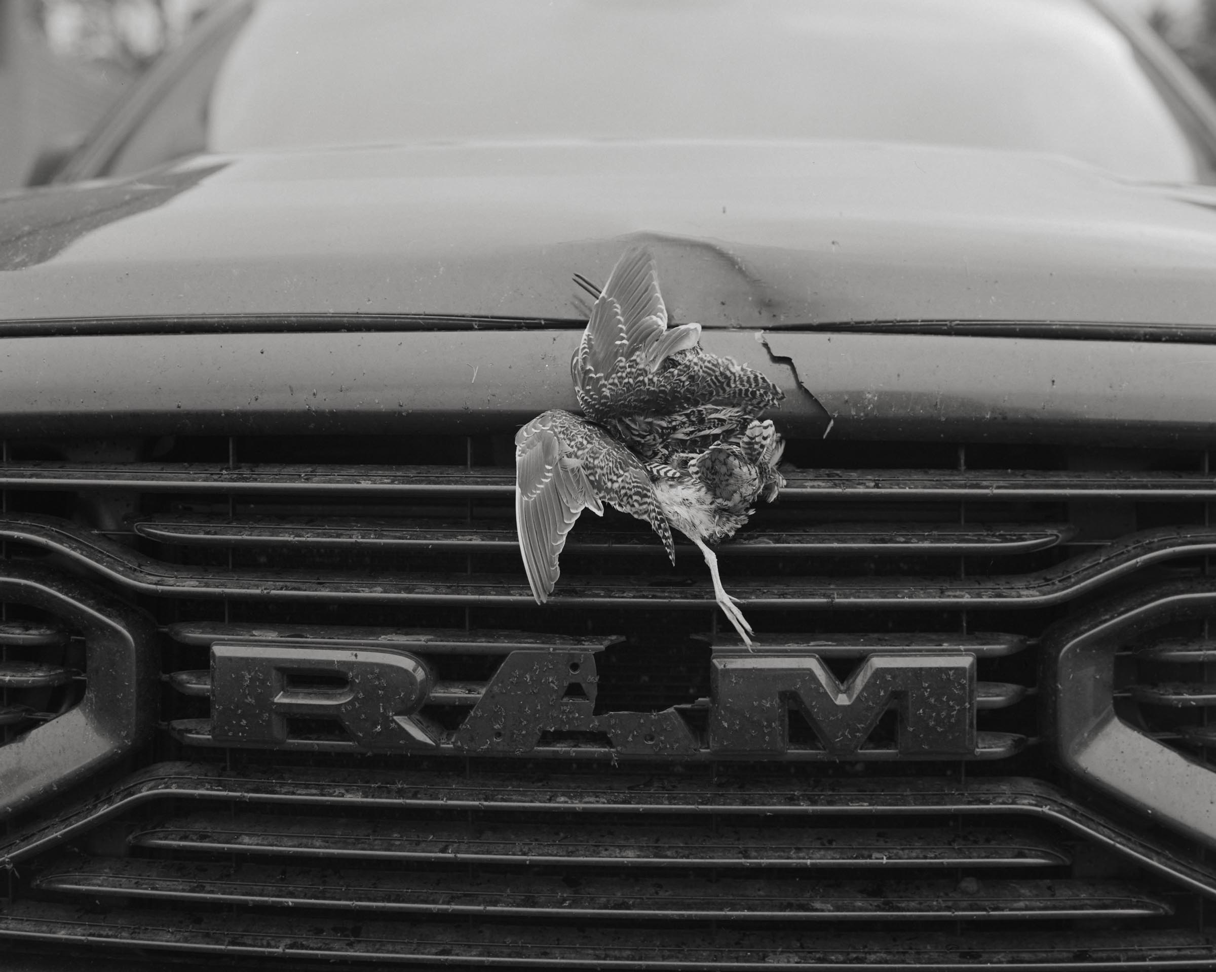 TWRILIDBE_5-Jeremy Colegrove-innovate-grant