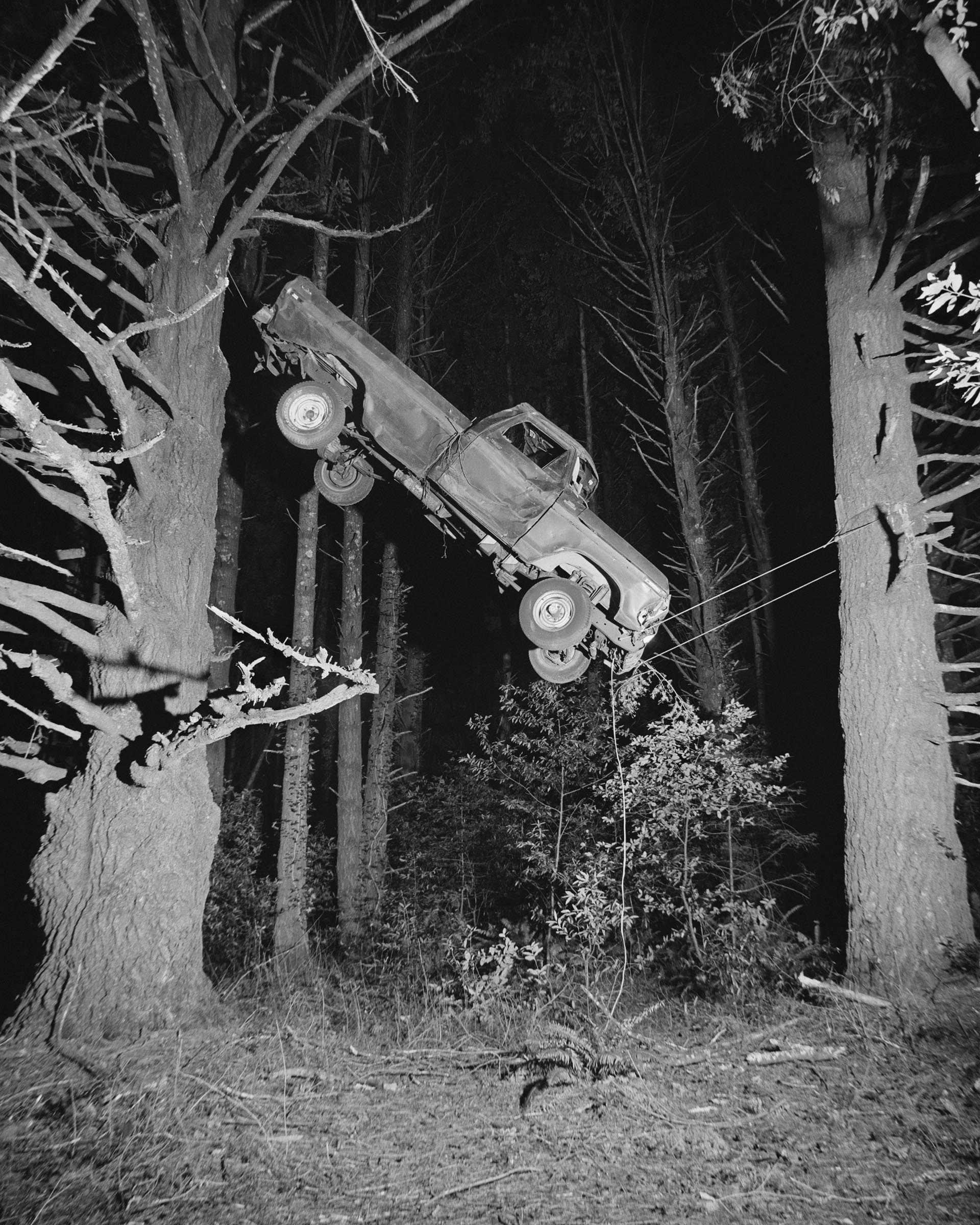 Truck-in-Tree-Jonah Reenders-innovate-grant