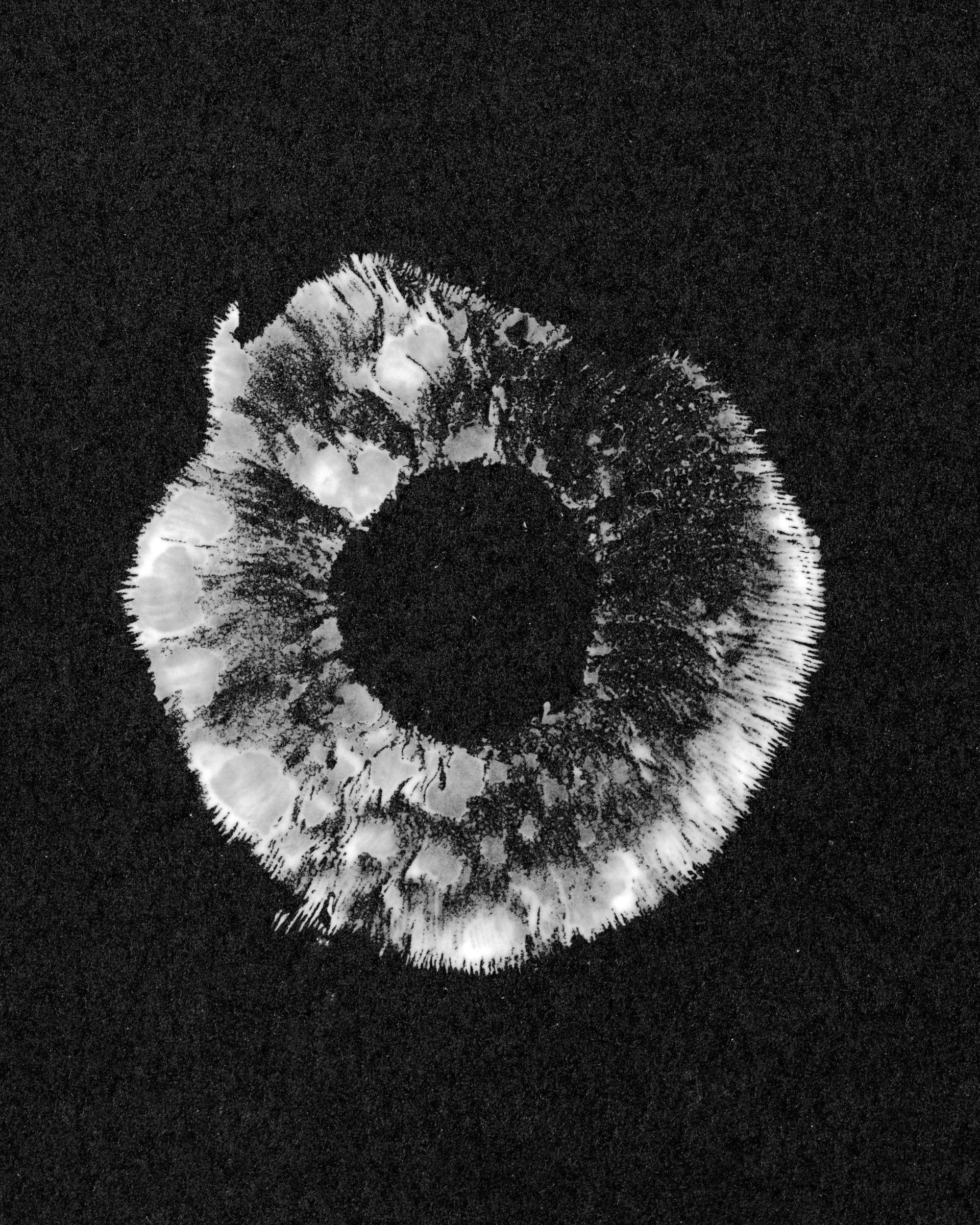 spore-print-Jonah Reenders-innovate-grant