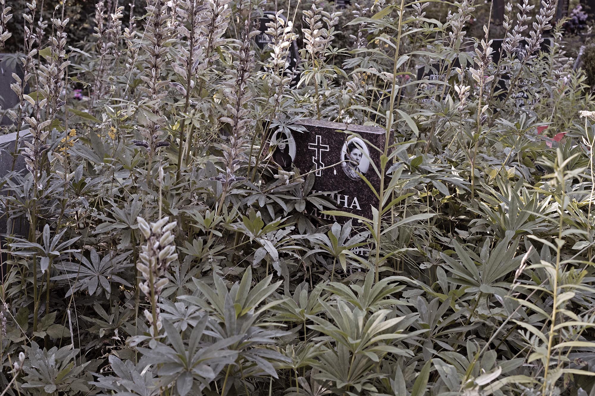 001_monolith_Innovate-Grant-Evgenii-Petrushanskii