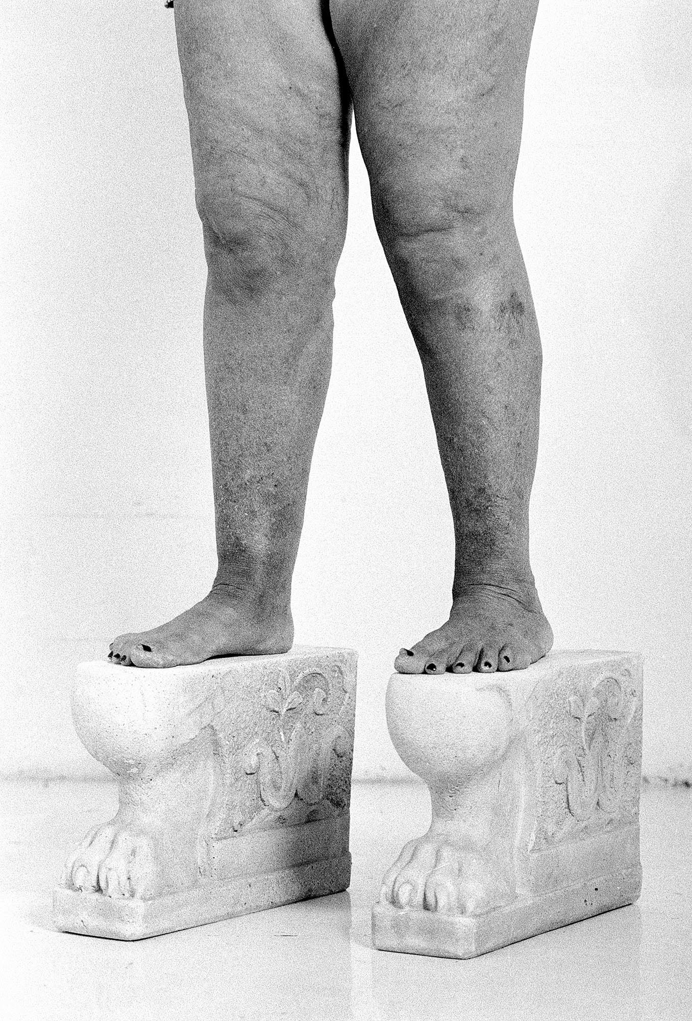 01_TheFeralCatFreindOfTheDesertFox-Innovate-Grant-Ludovica-Limido