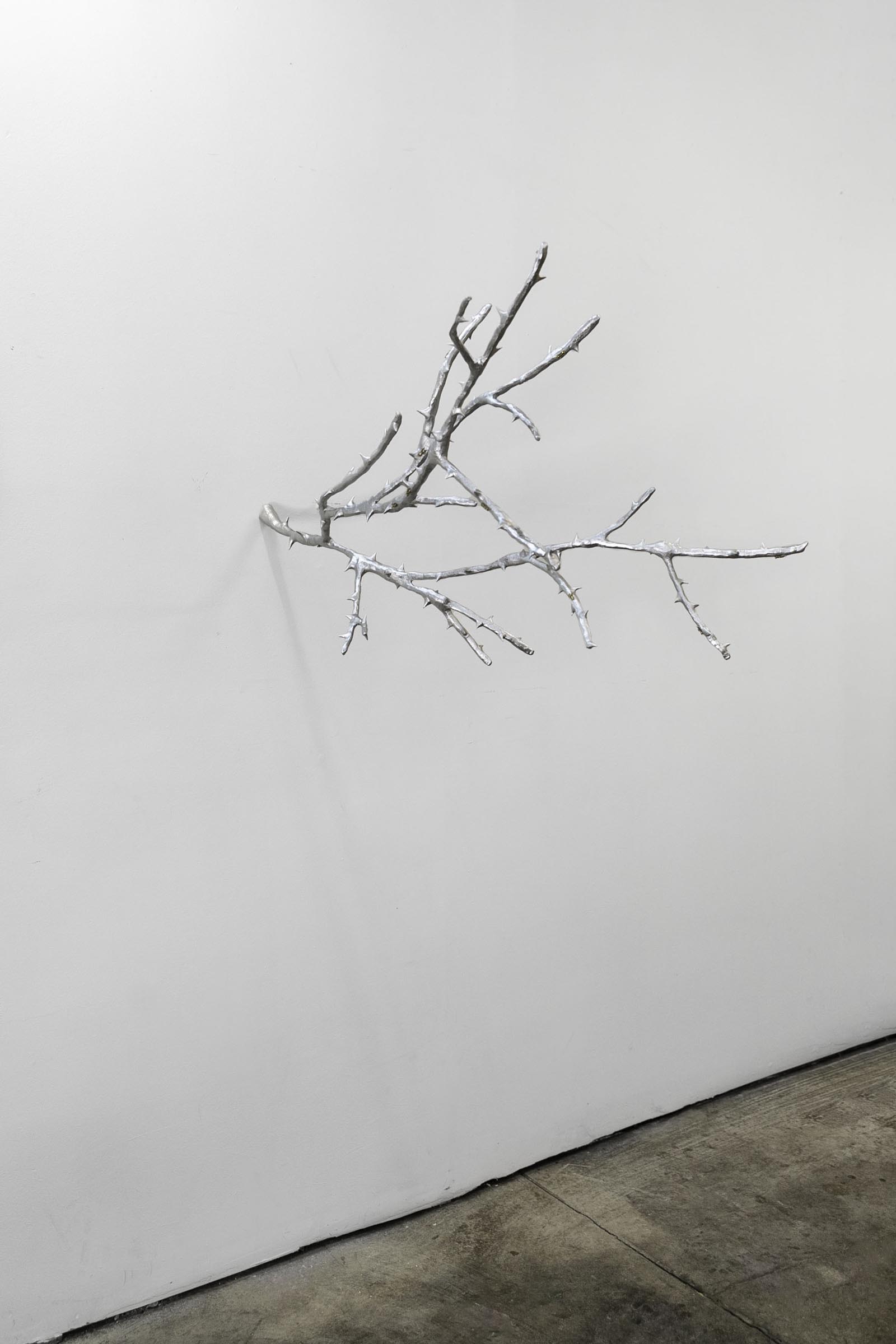 01_Thorn_Cameron-Innovate-Grant-Cameron-Coffman