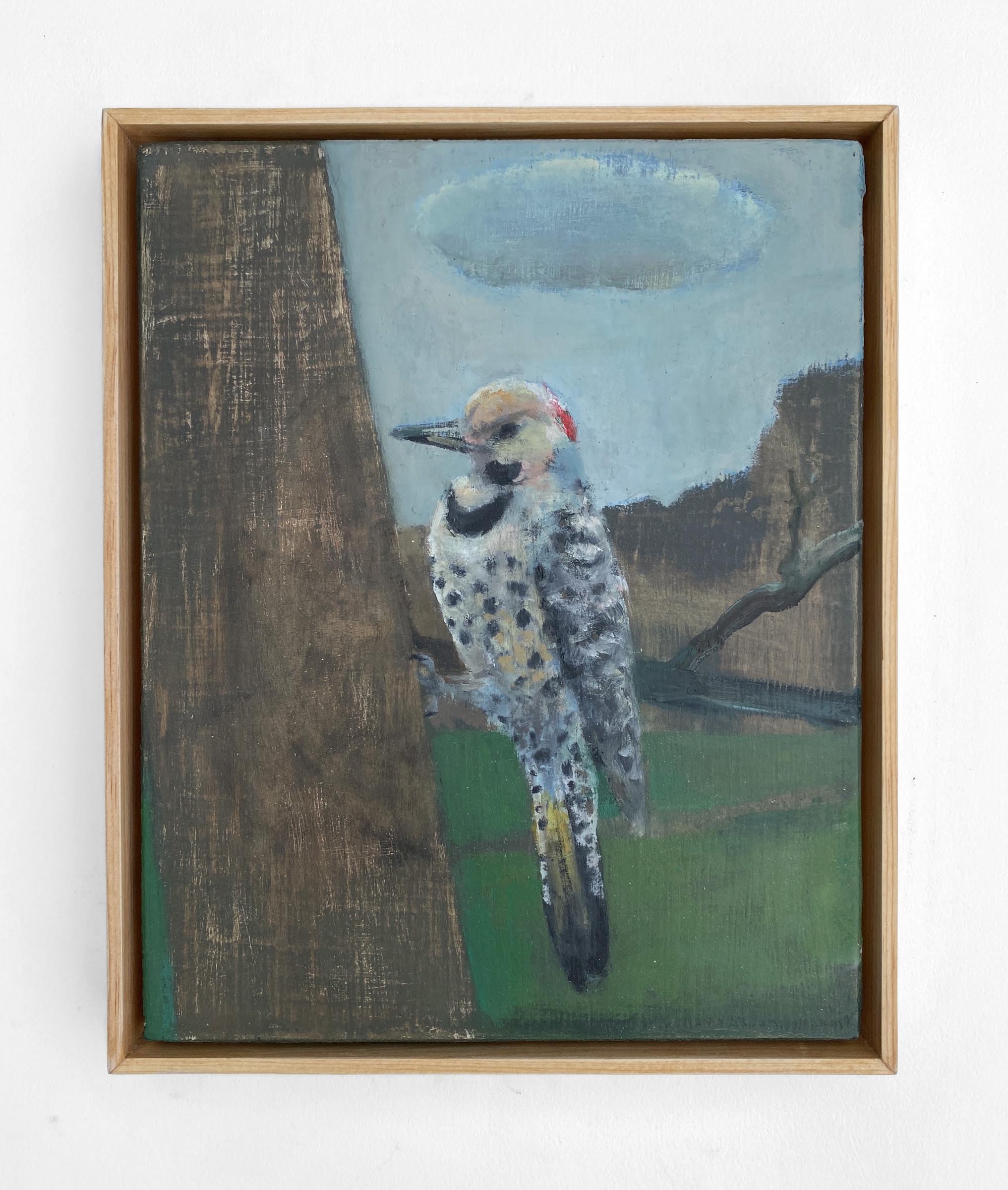 02-Northern-Flicker-Innovate-Grant-Stacy-Caldwell