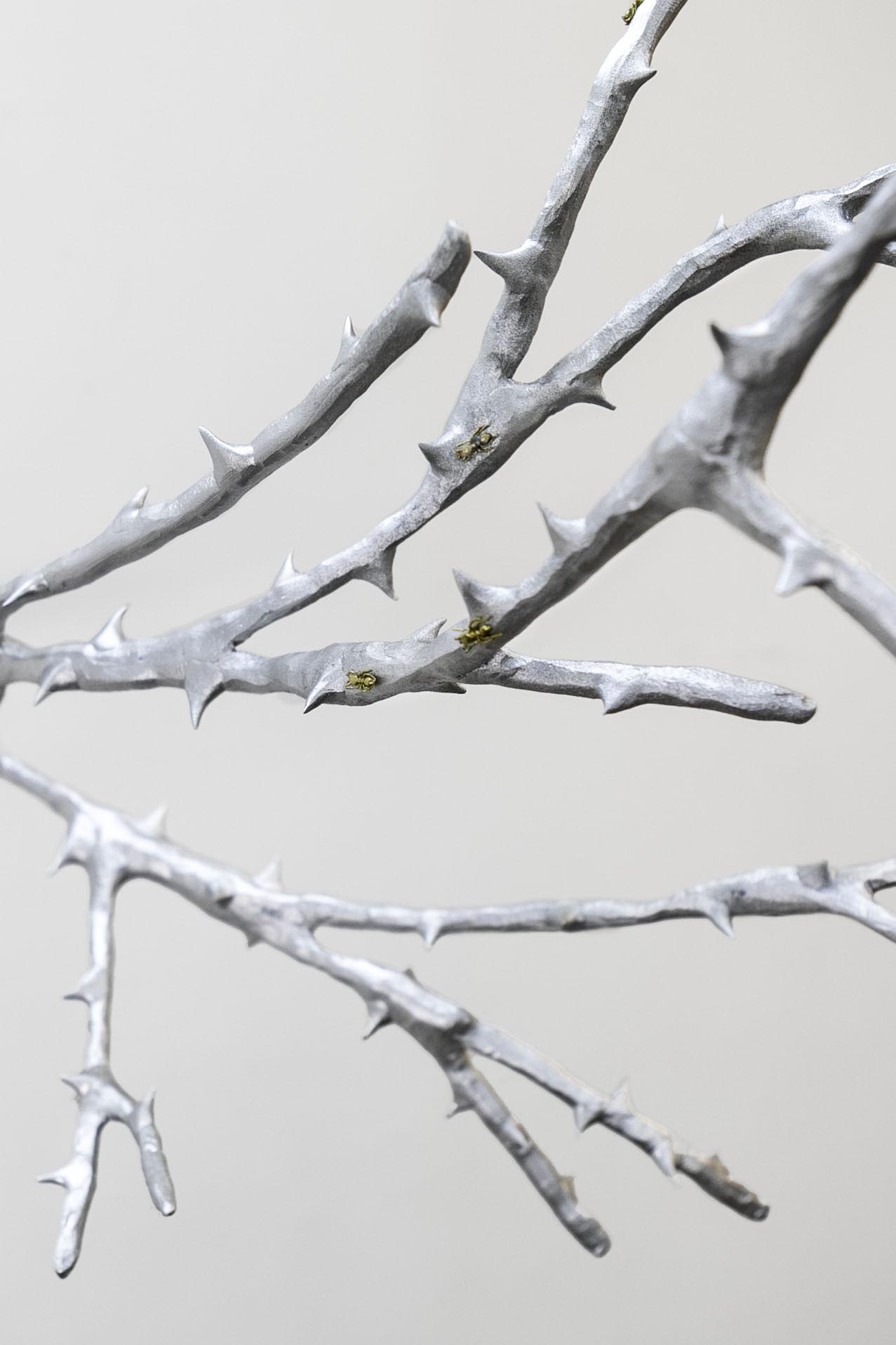 -02_ThornDetail_Cameron-Innovate-Grant-Cameron-Coffman