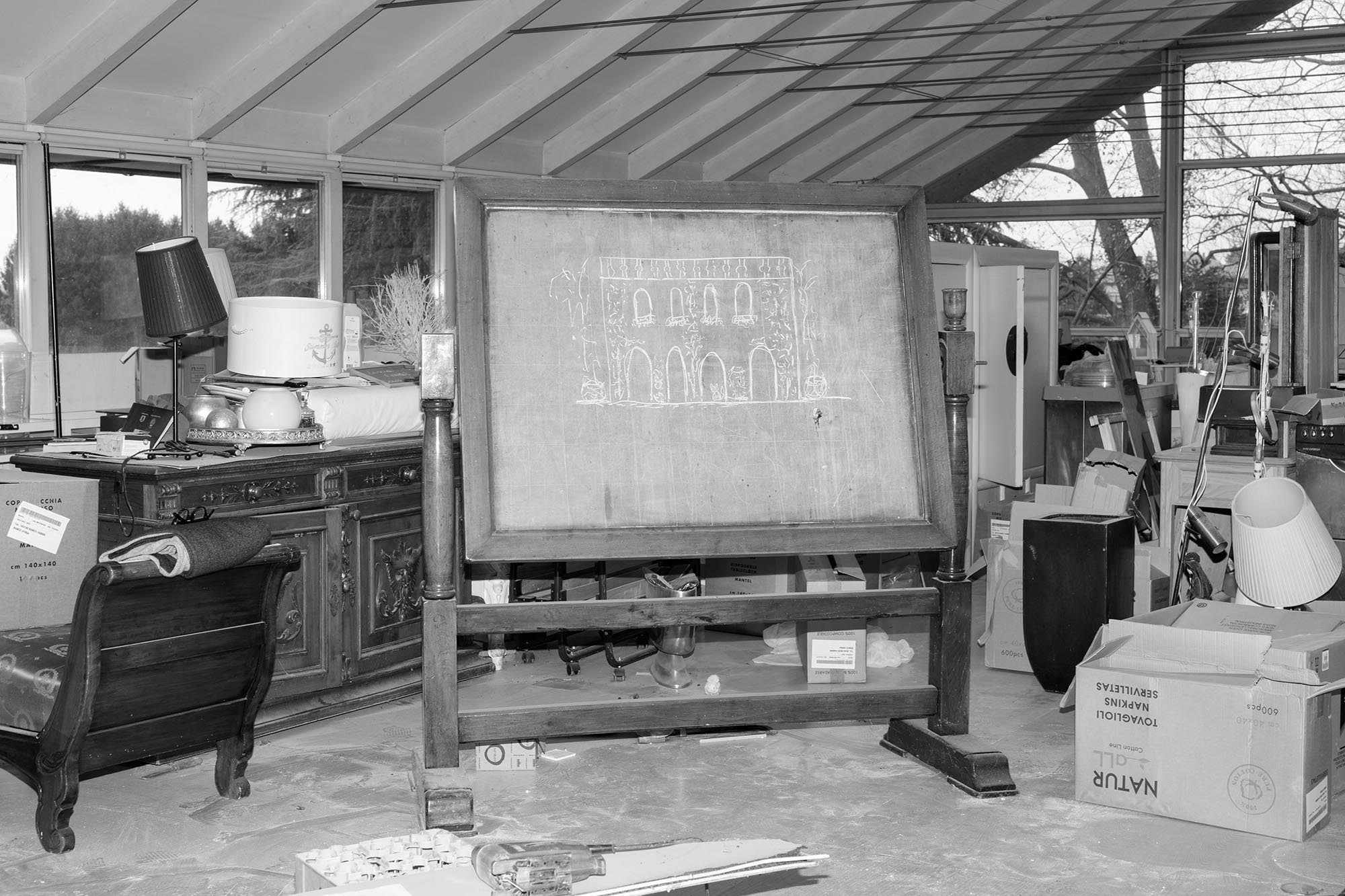 06_TheFeralCatFreindOfTheDesertFox-Innovate-Grant-Ludovica-Limido