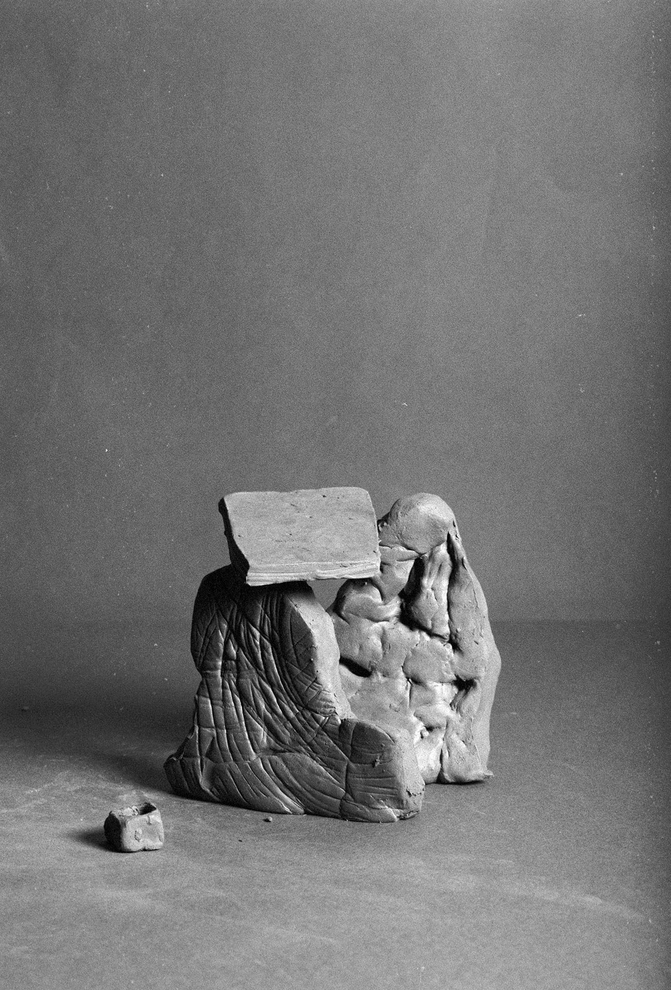 07_TheFeralCatFreindOfTheDesertFox-Innovate-Grant-Ludovica-Limido