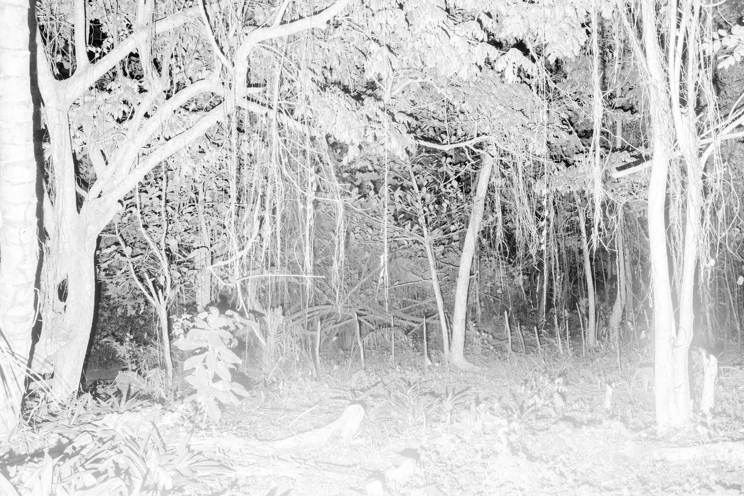 09_Fuku-NoUnagi-Innovate-Grant-Yago-Soria