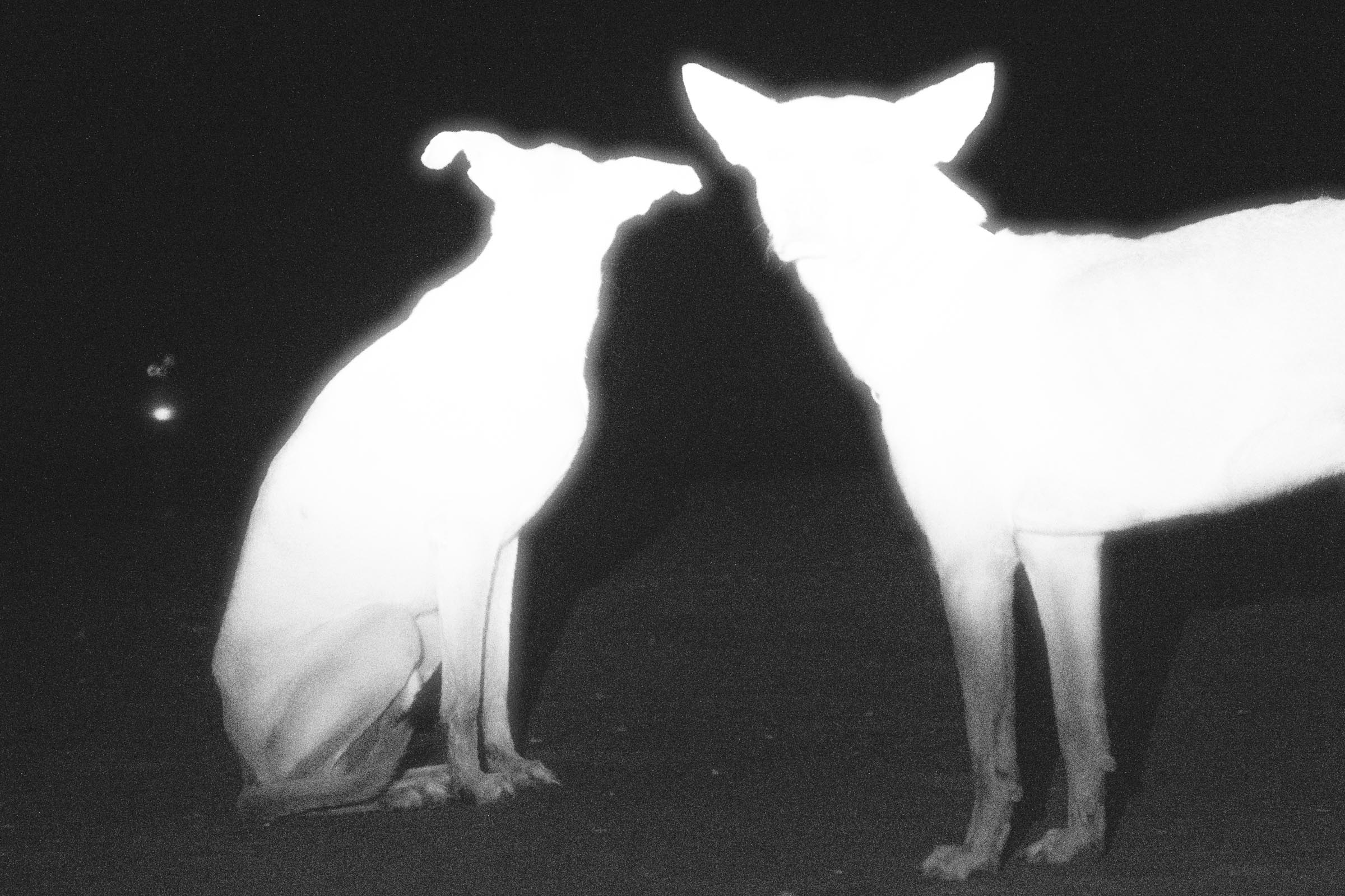 11_Fuku-NoUnagi-Innovate-Grant-Yago-Soria