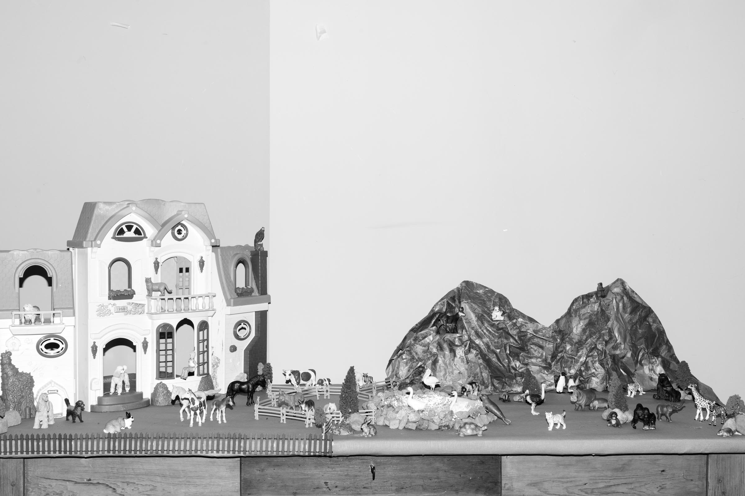 12-Ludovica-Limido-Innovate-Grant