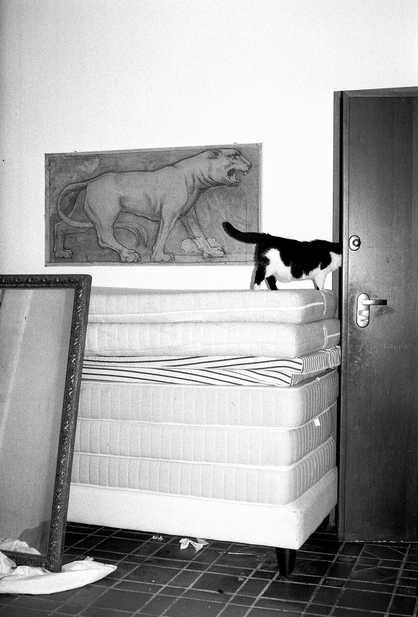 13-Ludovica-Limido-Innovate-Grant