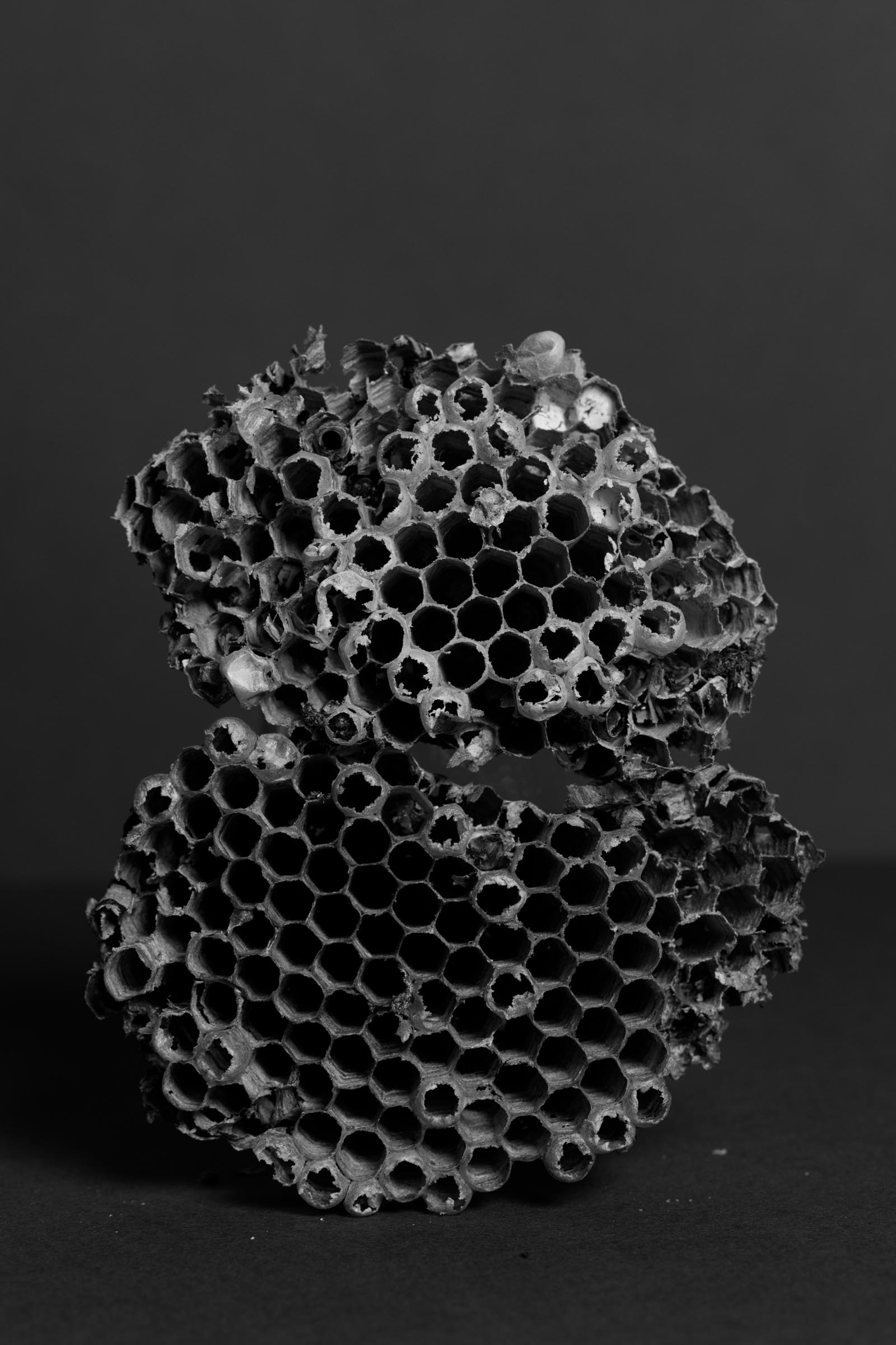 18-Ludovica-Limido-Innovate-Grant