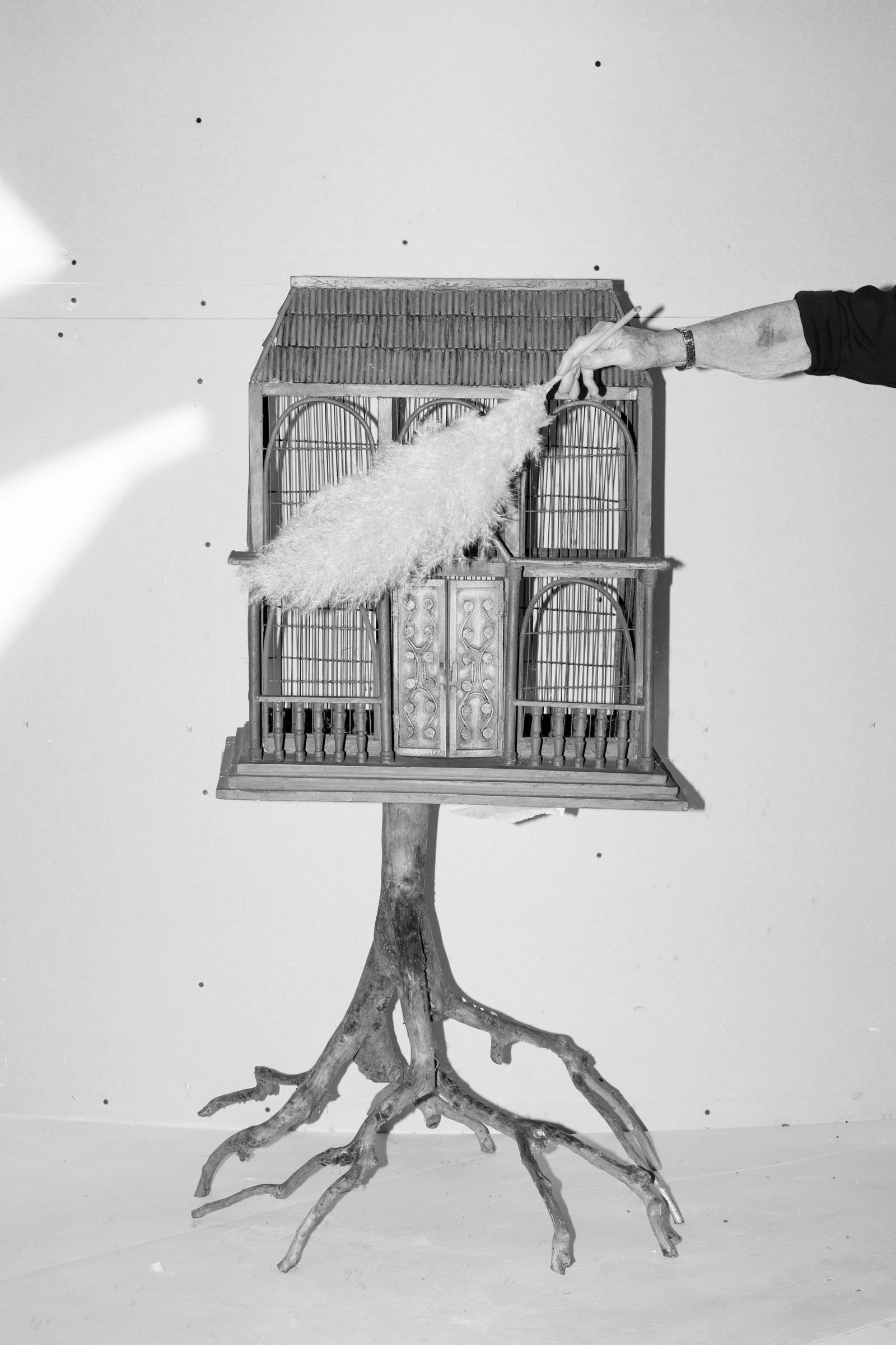 21-Ludovica-Limido-Innovate-Grant