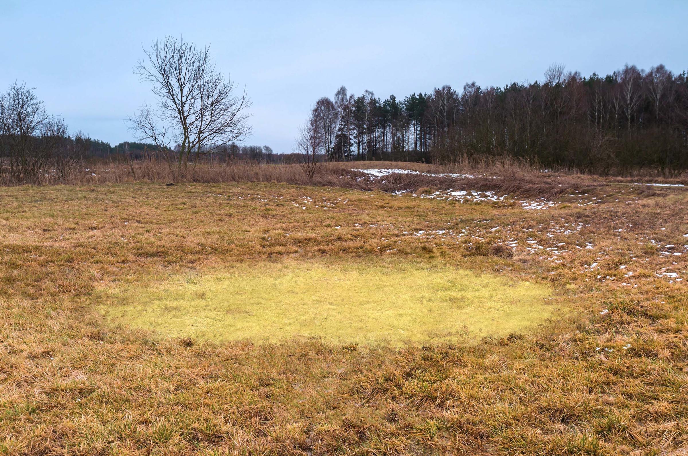 4-When-the-Land-Became-a-Vessel-Innovate-Grant-Sangwoo-Yoo