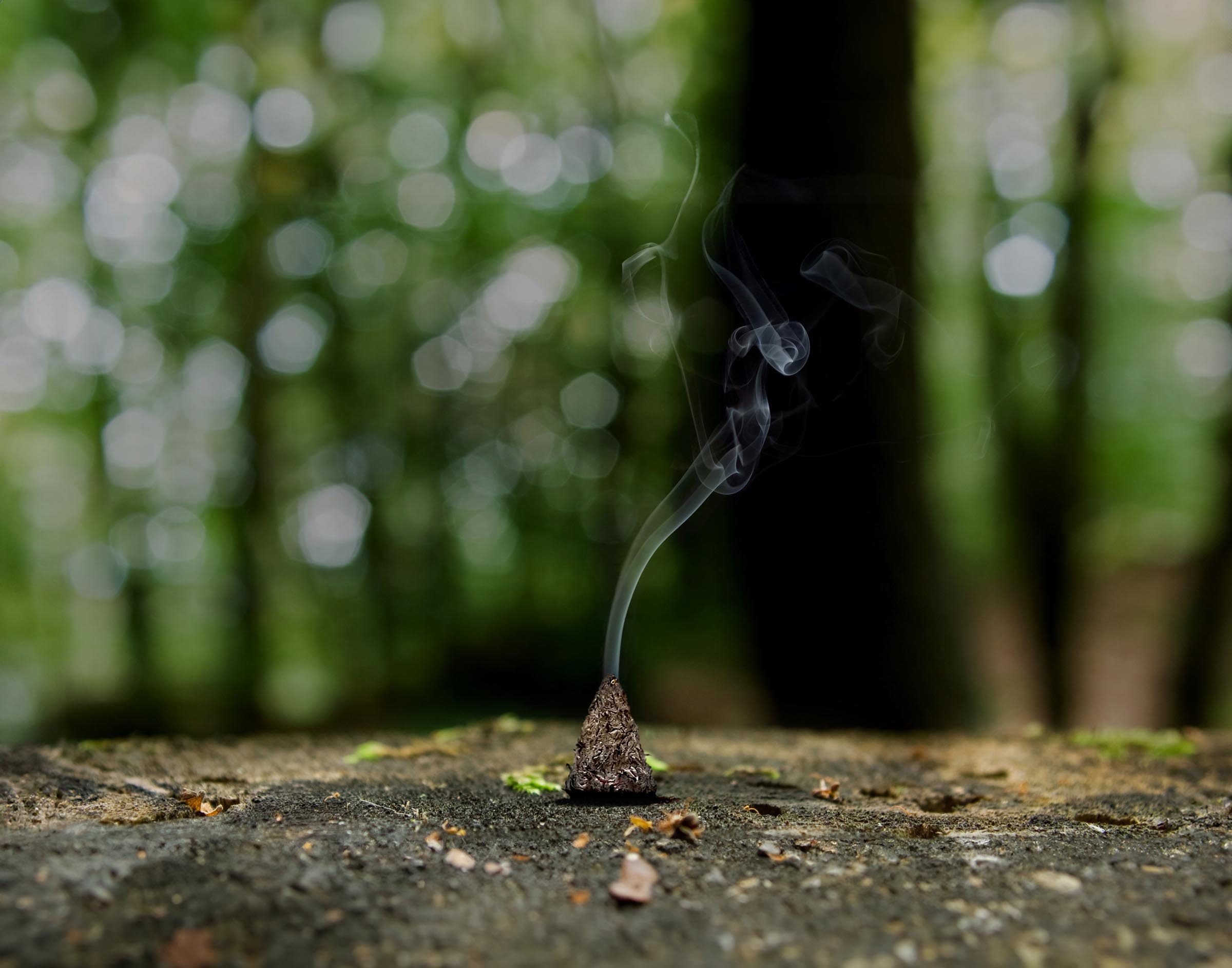 5-Portrait-of-Loss-incense-Innovate-Grant-Sangwoo-Yoo