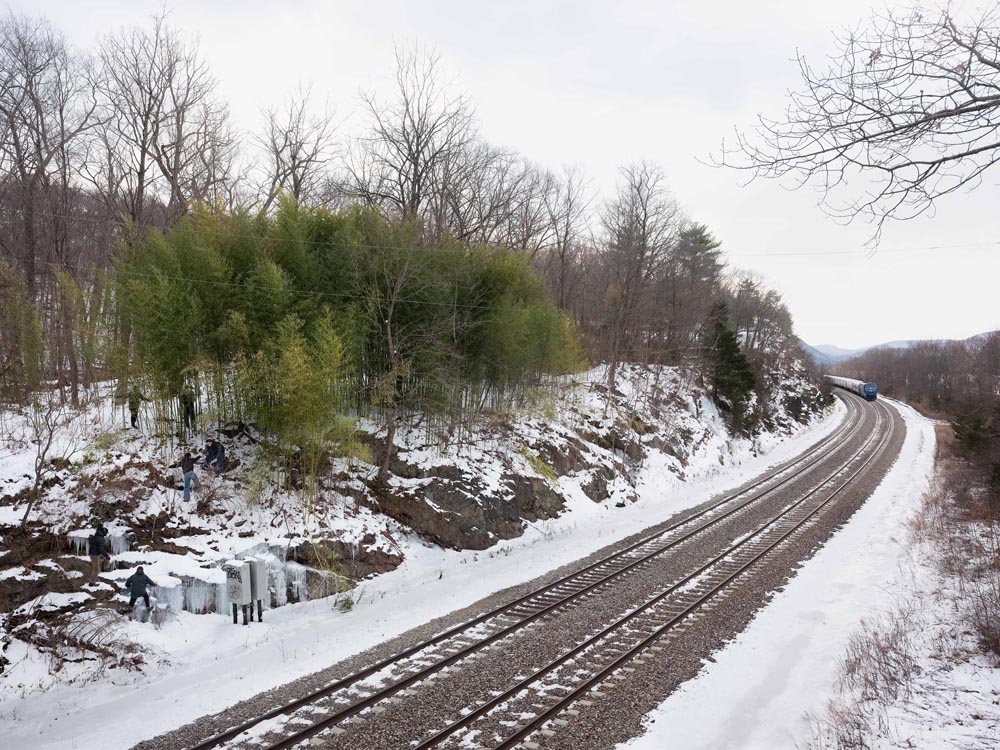 Andrew-Kung_Hudson_Bamboo-Garden-Innovate-Grant