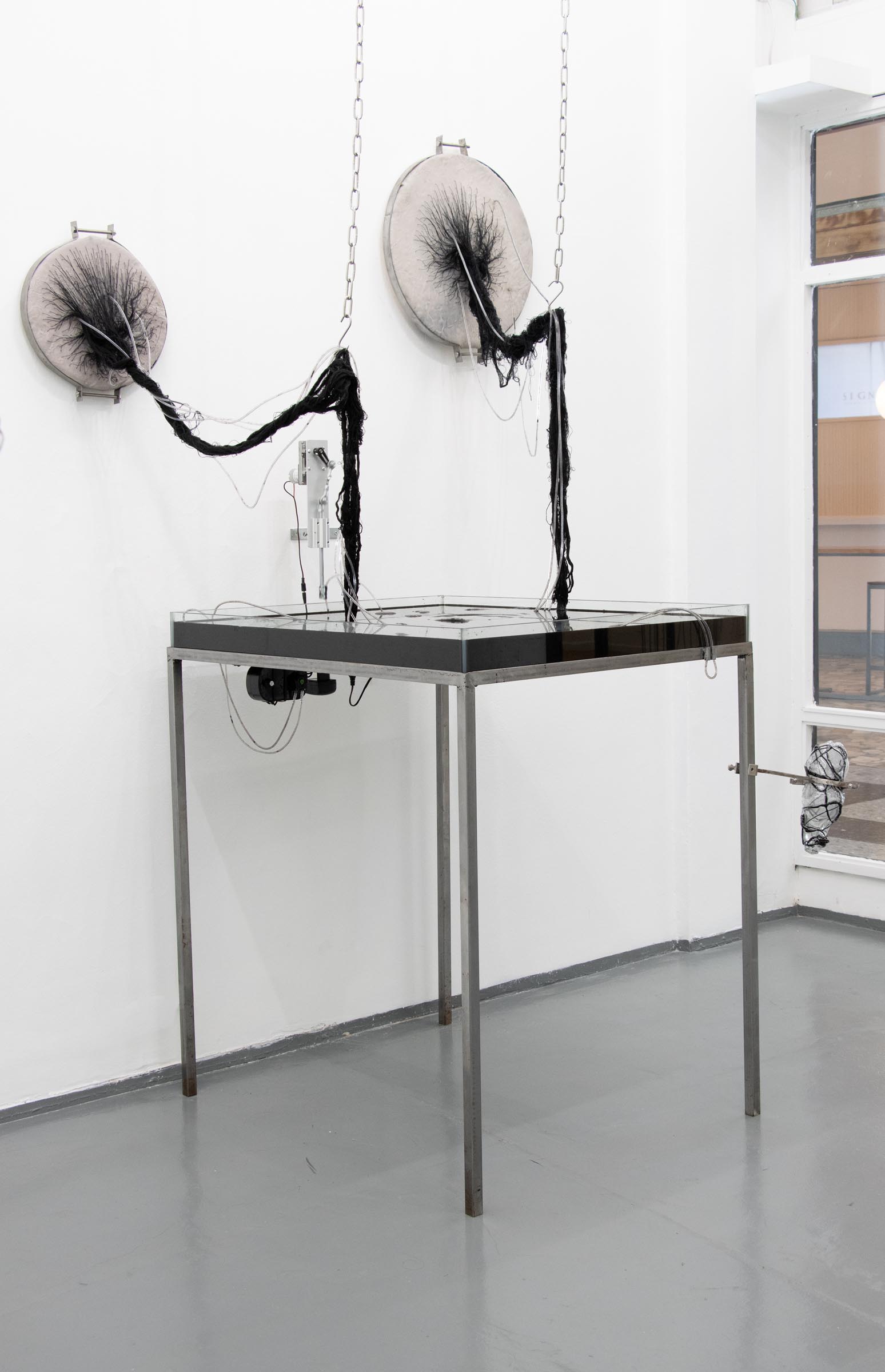 COAGVLA-Installation-Innovate-Grant-Lena-Becerra