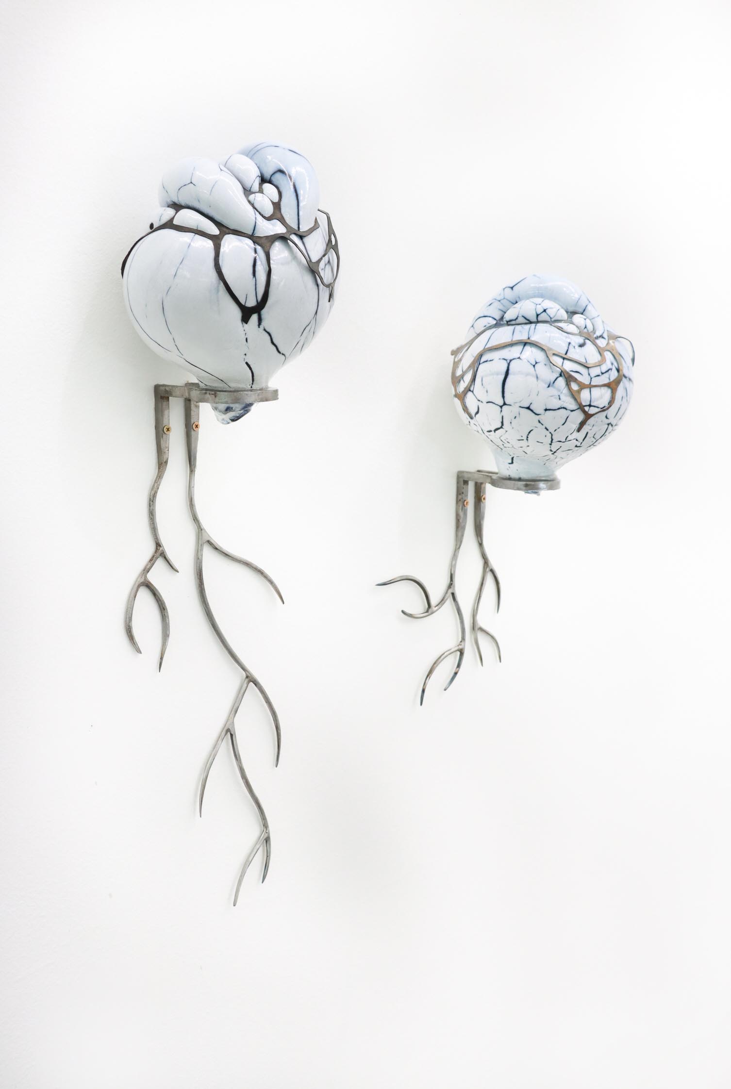 Coagvla-Innovate-Grant-Lena-Becerra