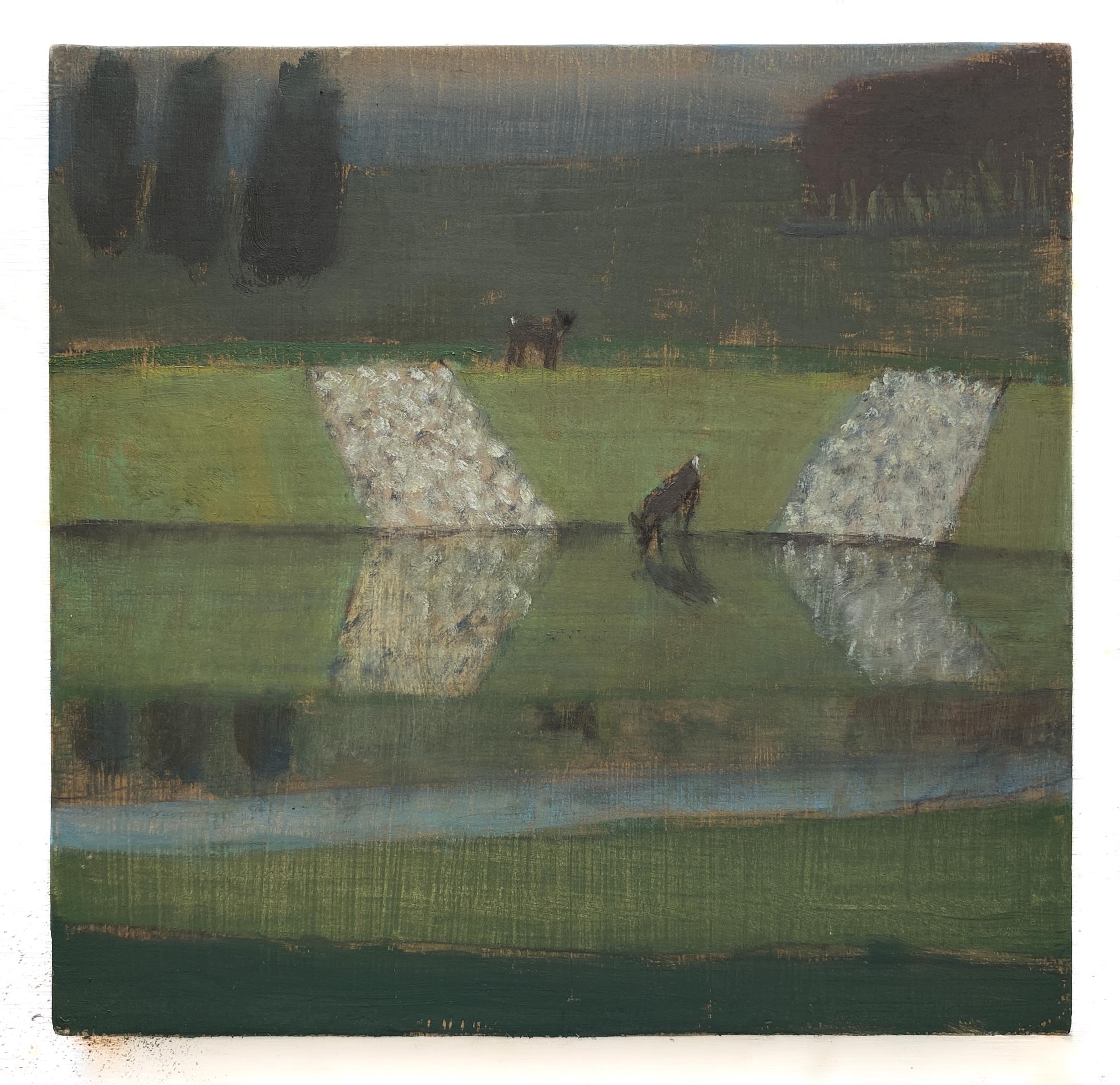 Deer-at-the-Retention-Pond-Innovate-Grant-Stacy-Caldwell