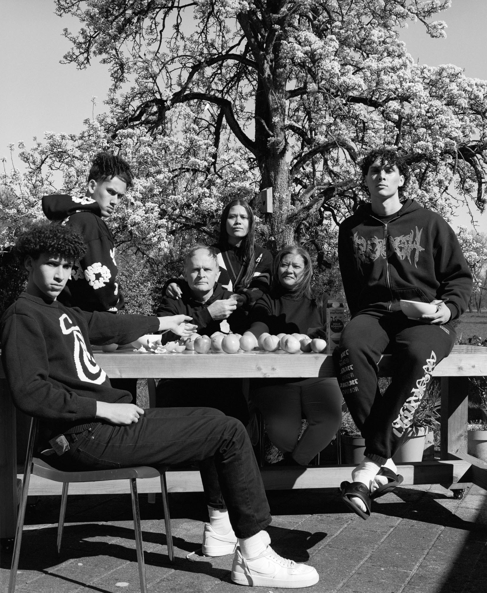 Farrenvanwyk-mixednessismymythology-1-Innovate-Grant