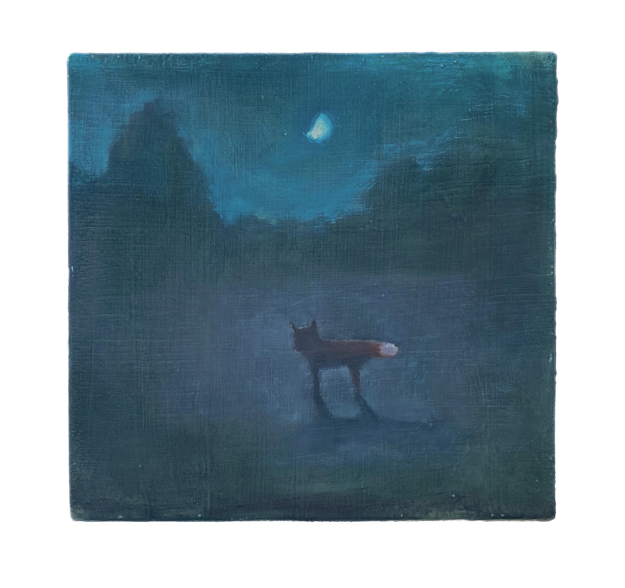 Fox-Gazing-at-the-Moon-Innovate-Grant-Stacy-Caldwell