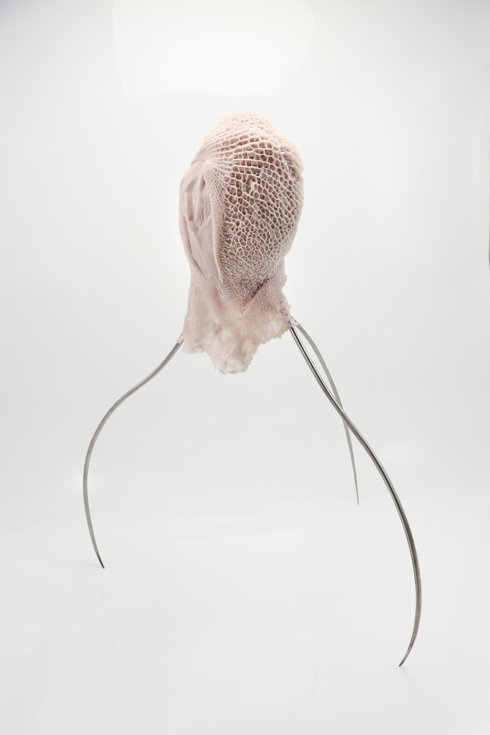 Peripheral-Growth-Innovate-Grant-Lena-Becerra