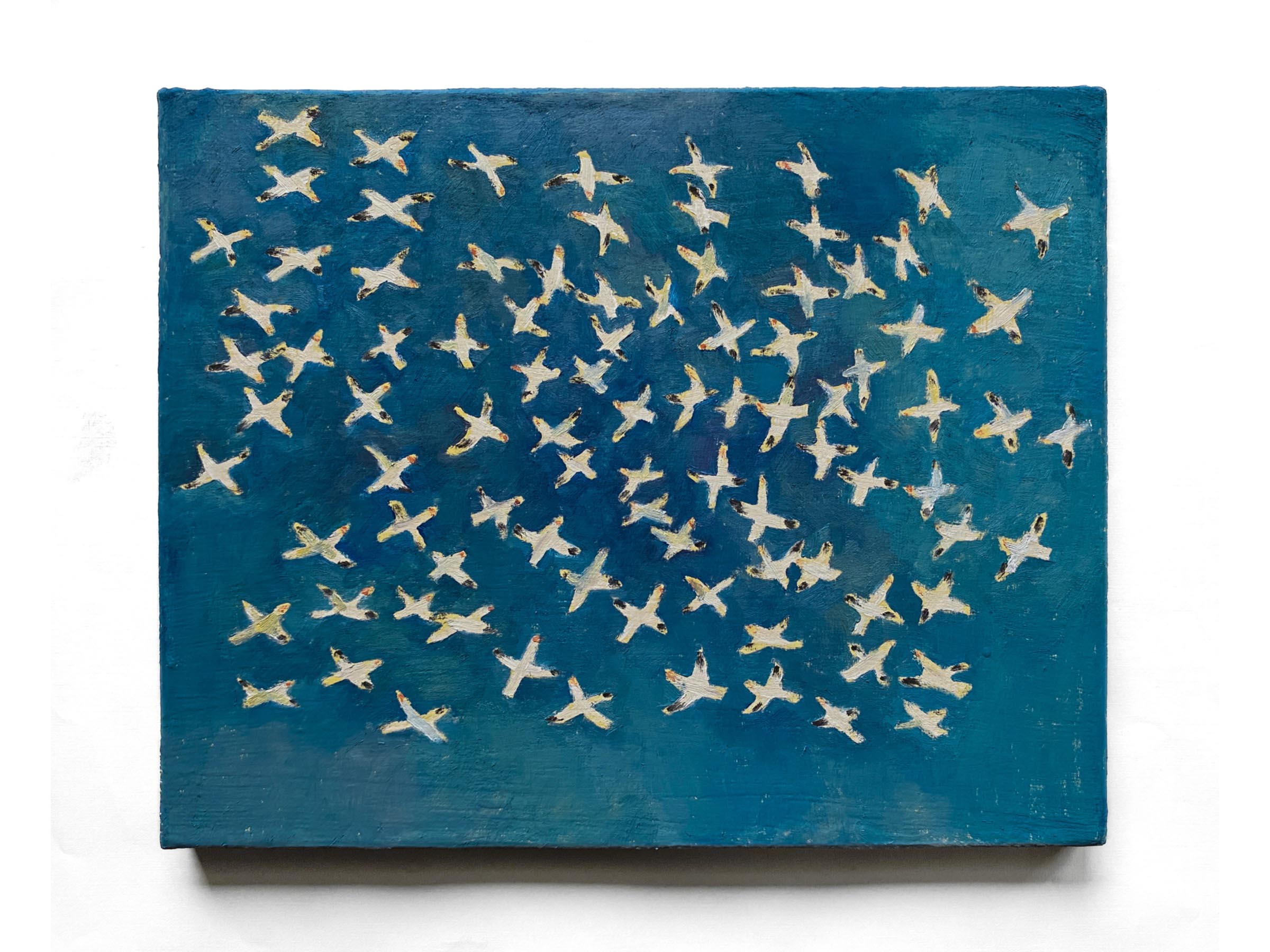 Snow-Geese-in-Flight-Innovate-Grant-Stacy-Caldwell