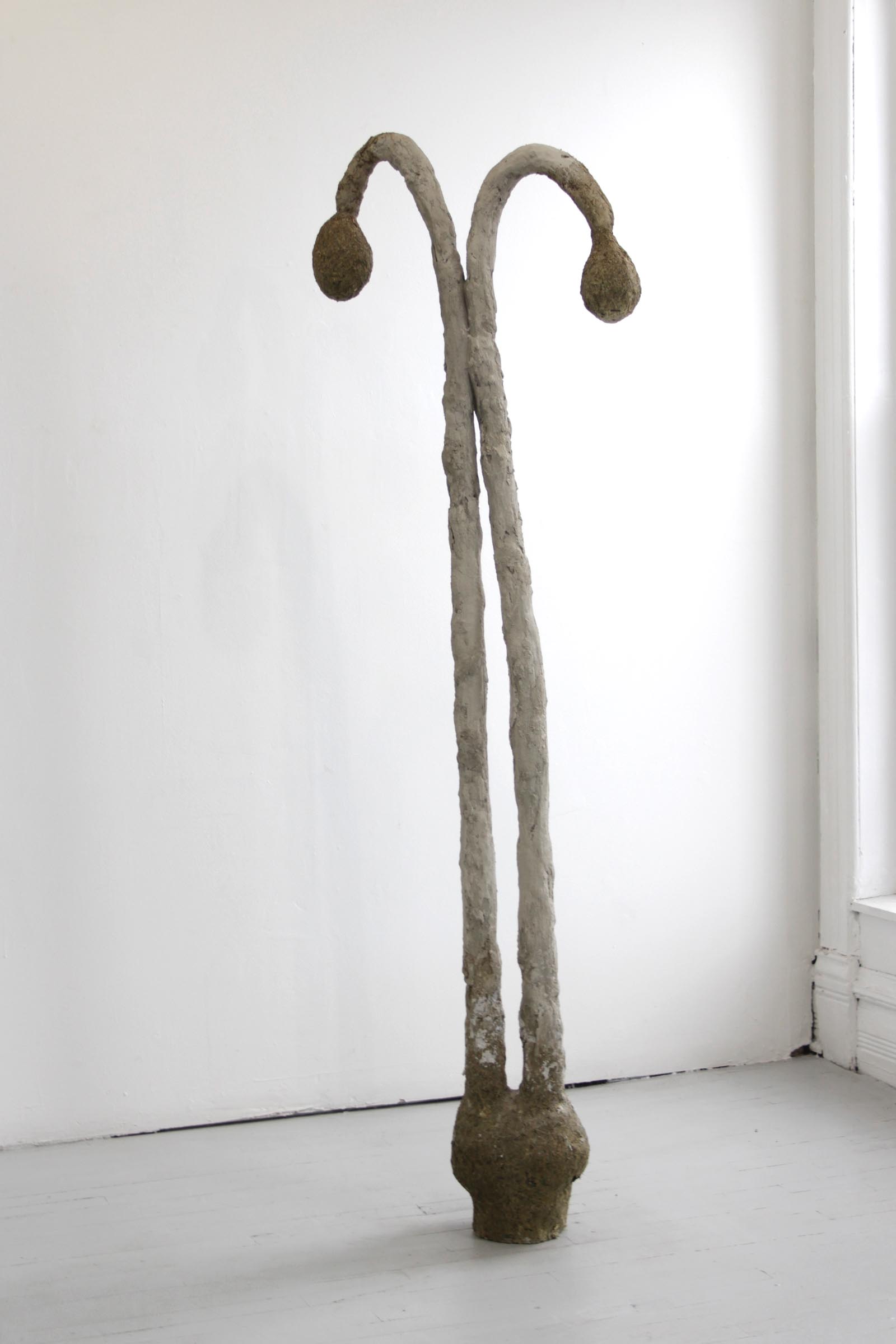 ToSeed-Innovate-Grant-Tatiana-Sky