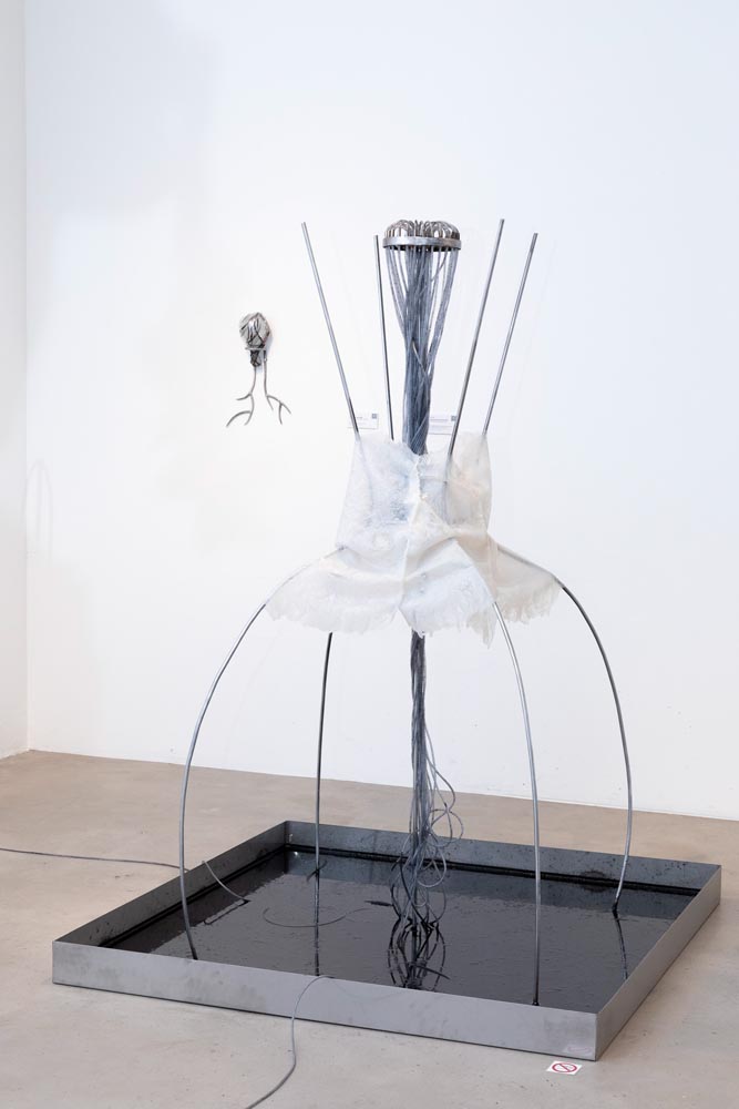 WBNUS-3-Innovate-Grant-Lena-Becerra