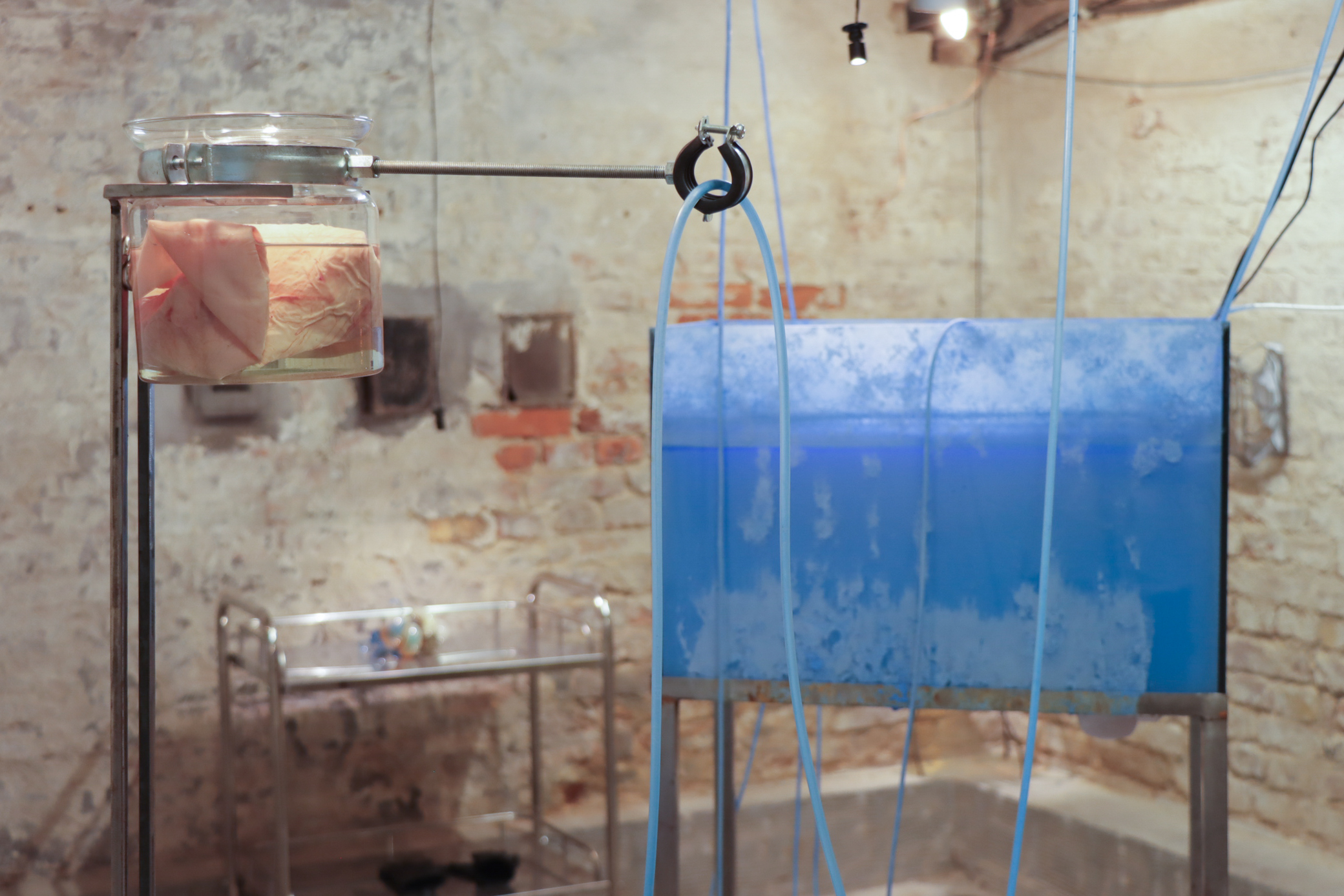 Xenobiotics-Install-view-Innovate-Grant-Lena-Becerra