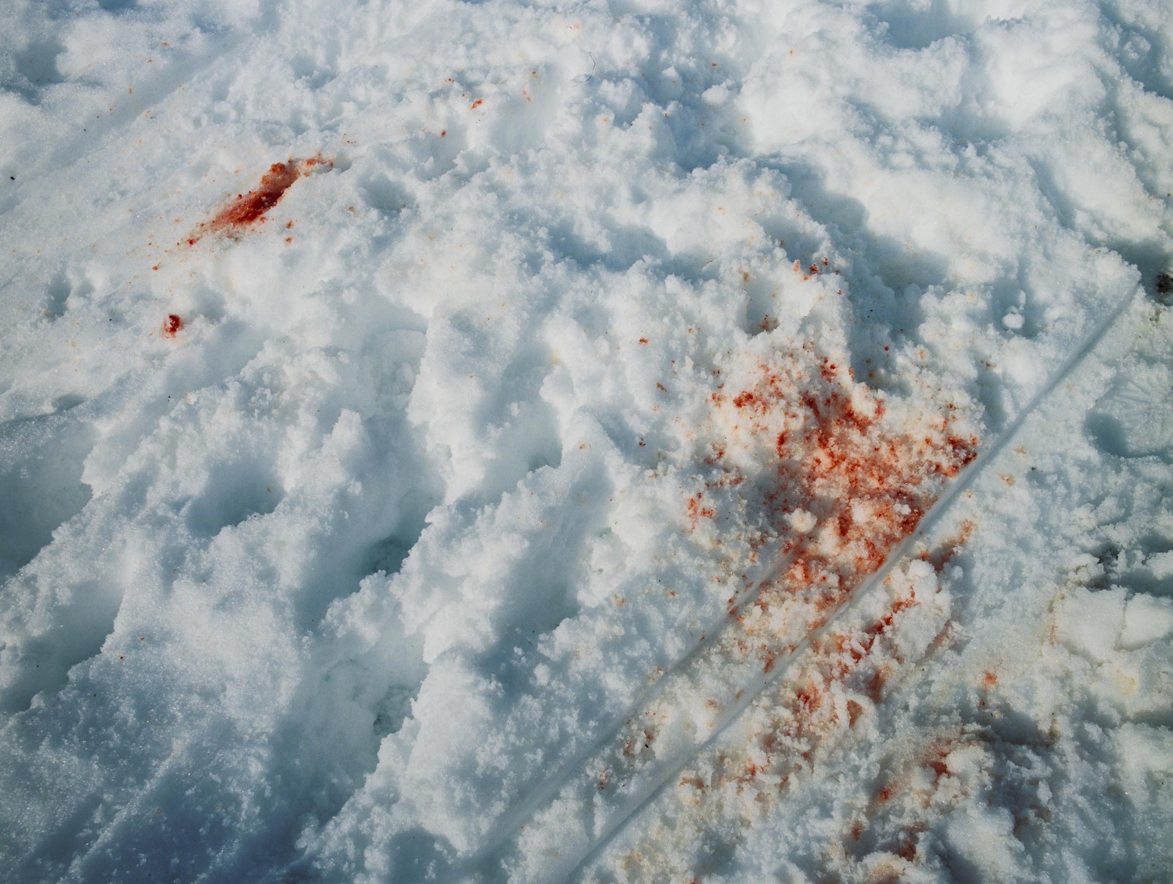 innovategrant_Masa-Stanic-1