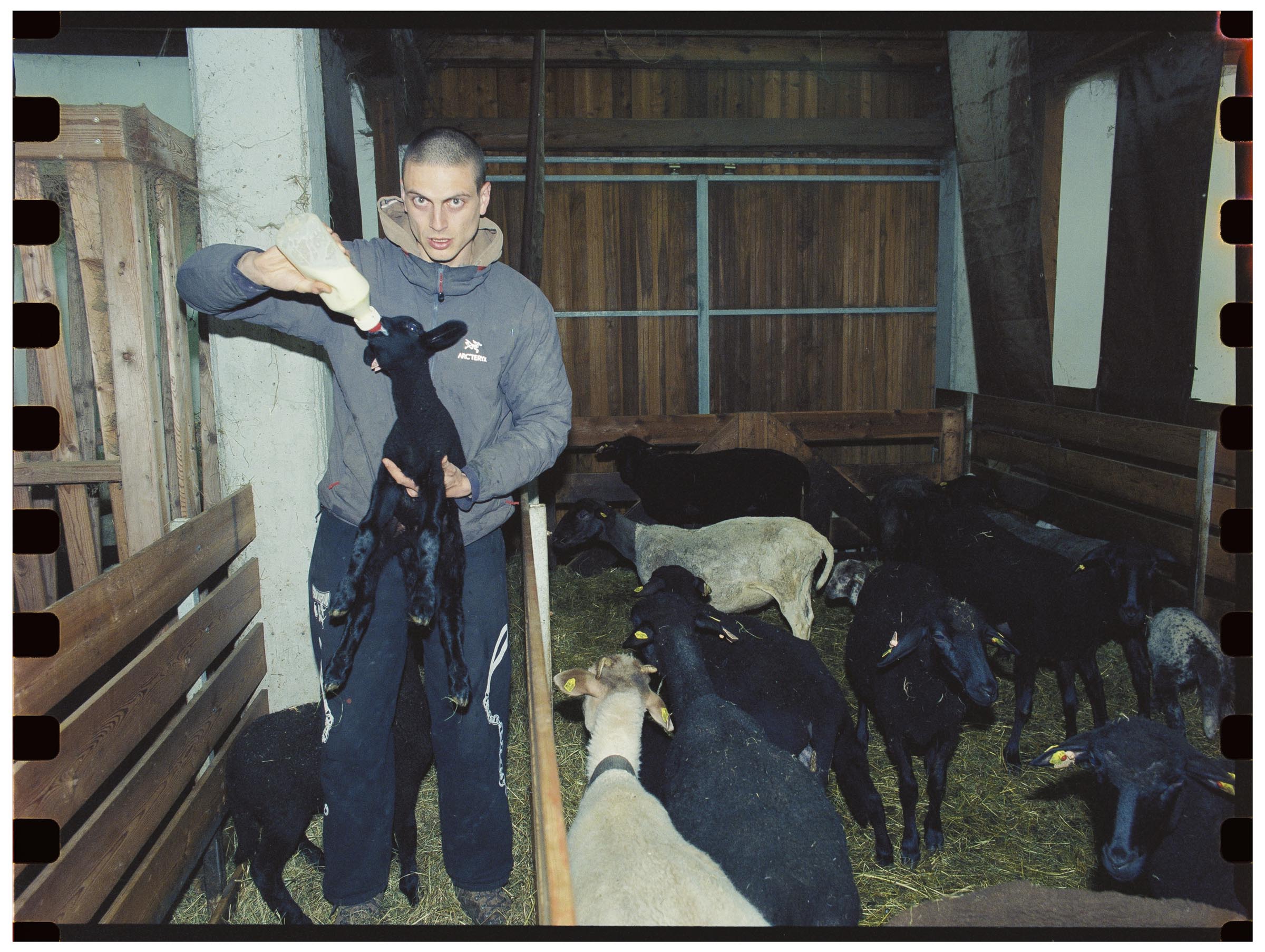 innovategrant_Masa-Stanic-2