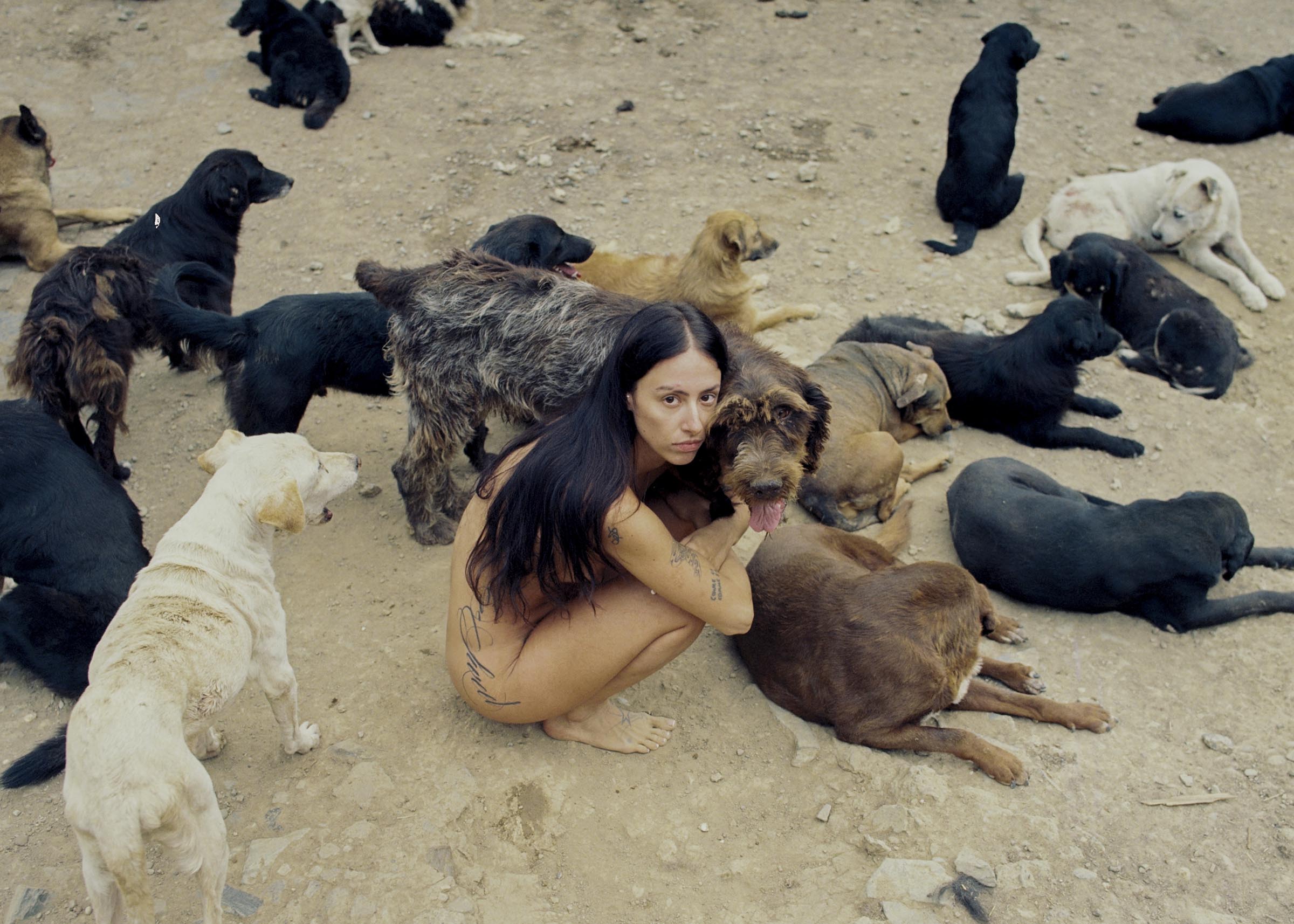 innovategrant_Masa-Stanic-4