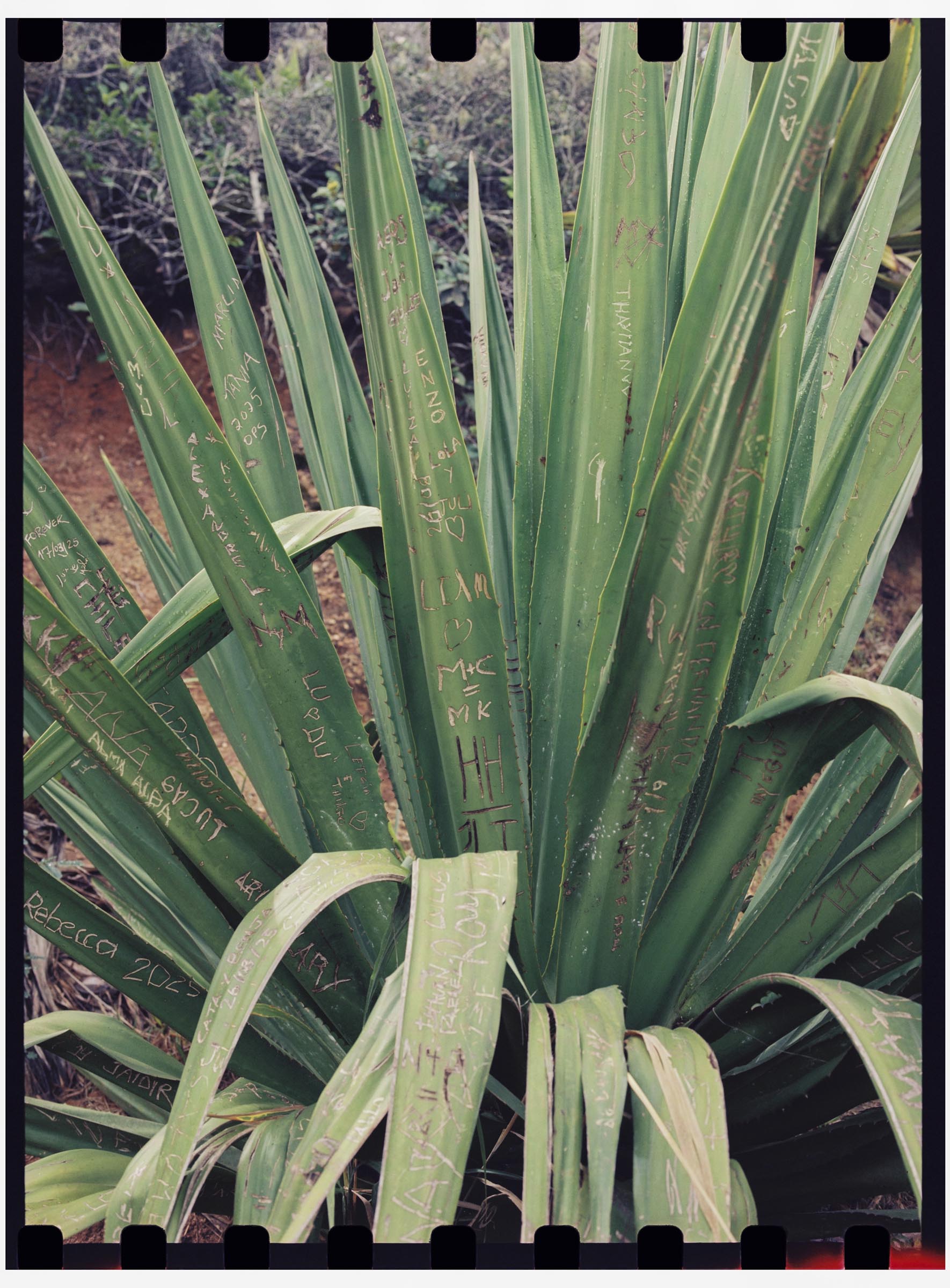 innovategrant_Masa-Stanic-5