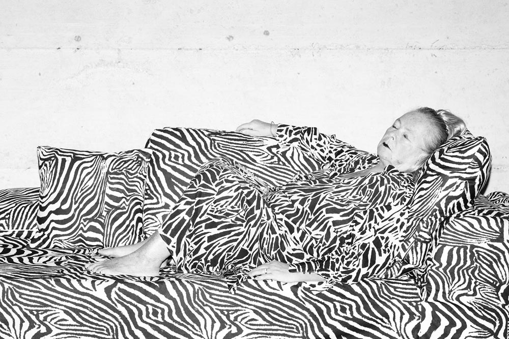 08_TheFeralCatFreindOfTheDesertFox-Innovate-Grant-Ludovica-Limido