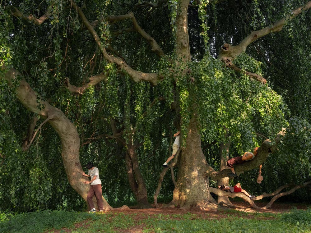 Andrew-Kung_Hudson_Carving-A-Love-Letter-Innovate-Grant