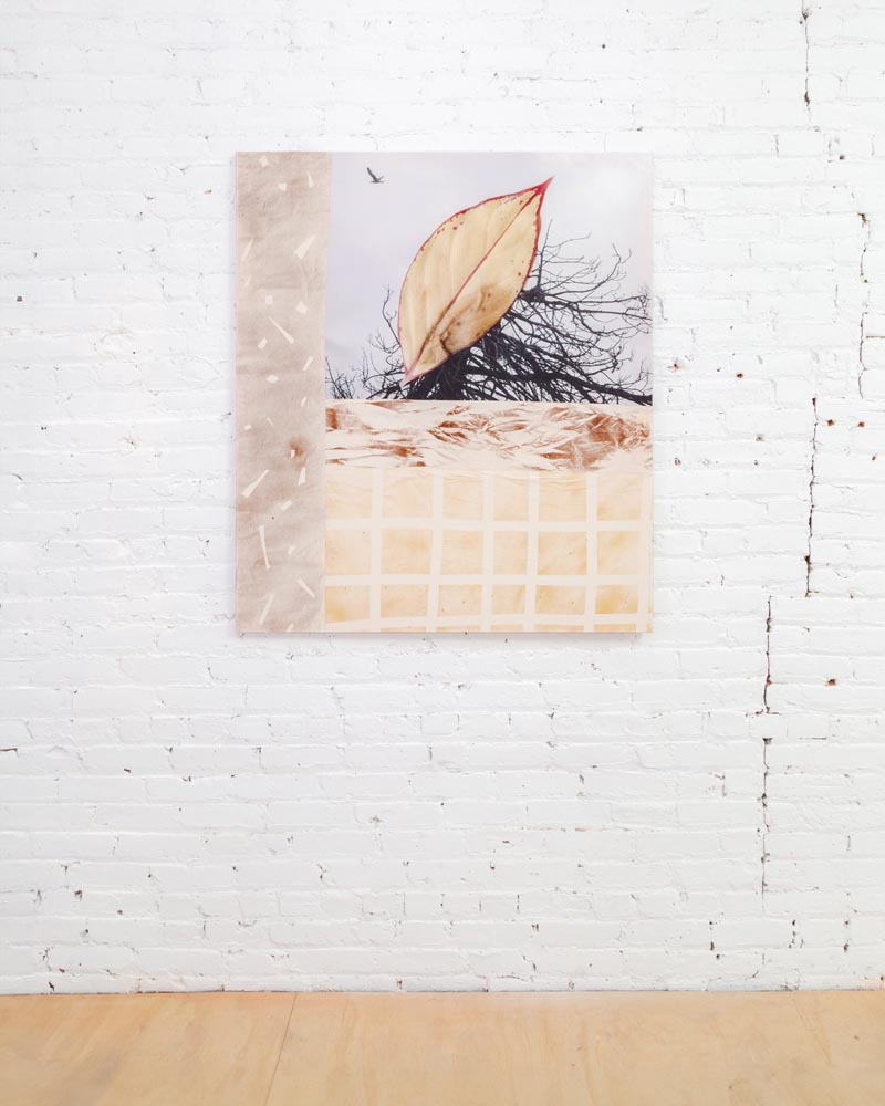 Could-Have-Dreamt-It-Was-Real-install-Innovate-Grant-Nathalie-Basoski
