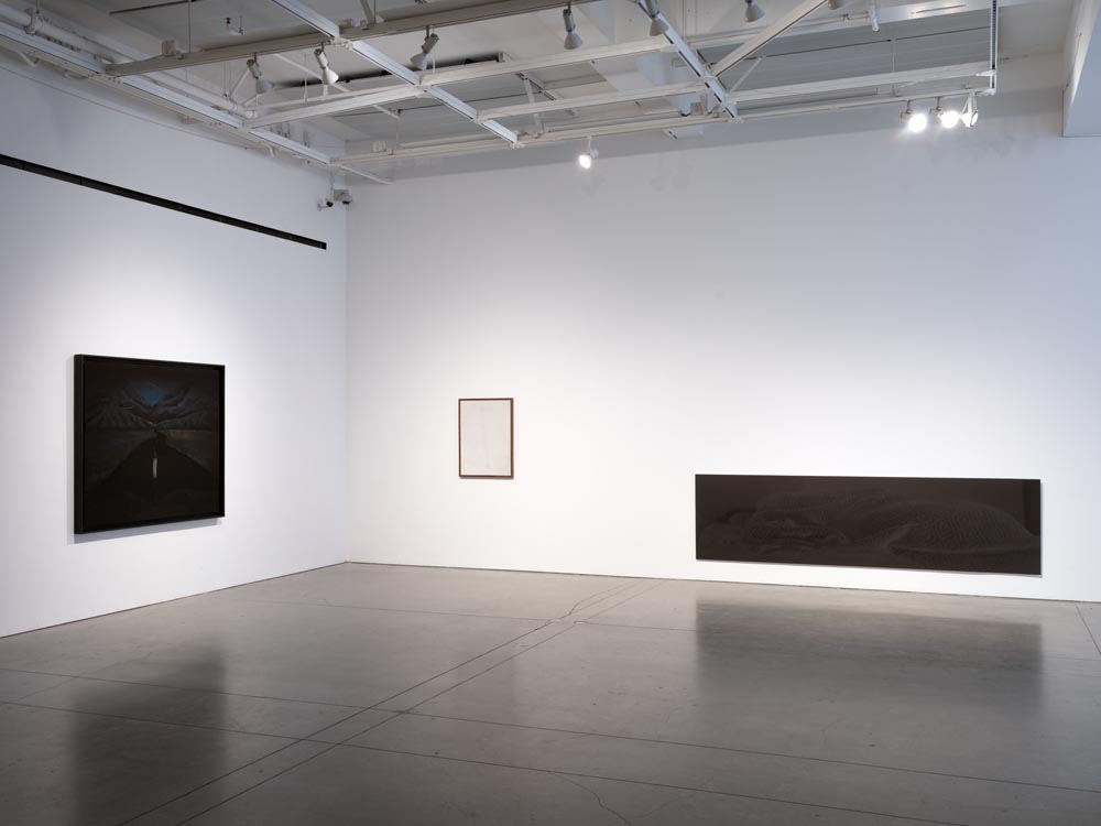 Install_TrickScarOphelia–Innovate-Grant-Keegan-Holden