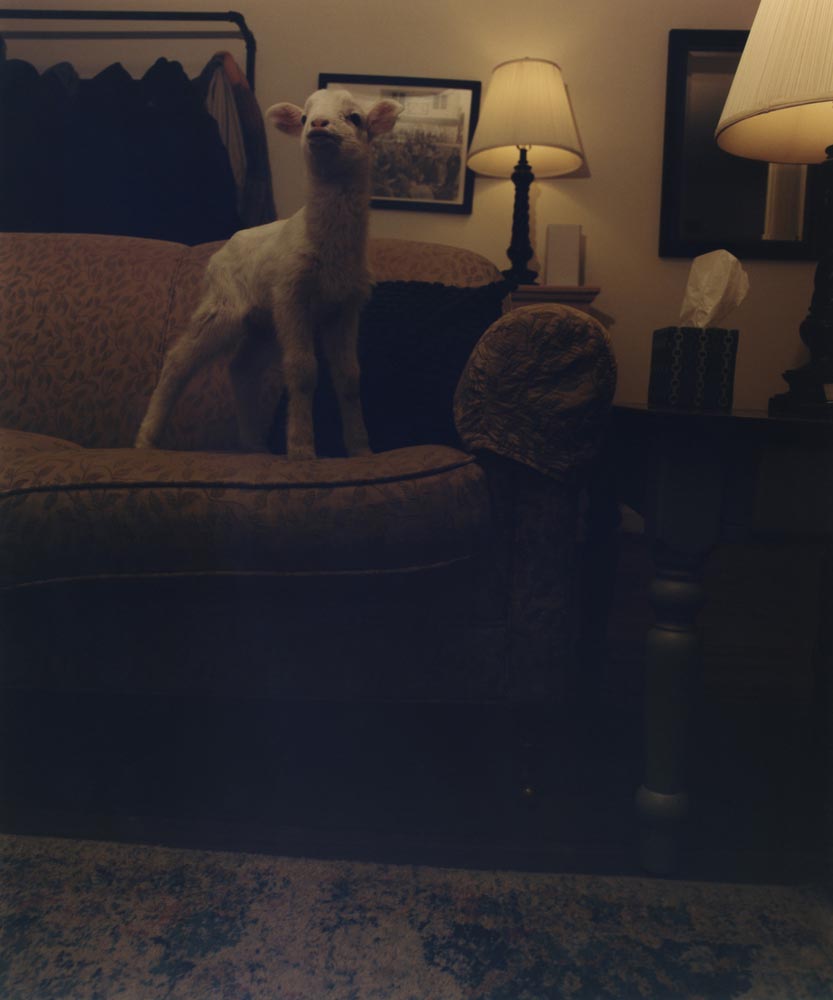 JackFox_Untitled-Booger-_02