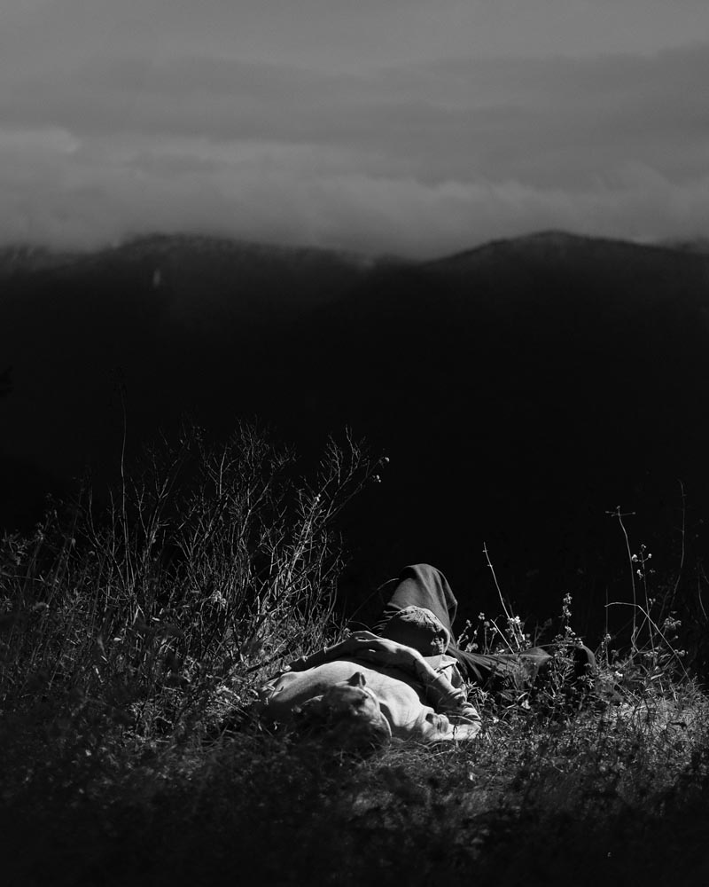 JackFox_Untitled-Trevor-laying-In-The-Meadow_06