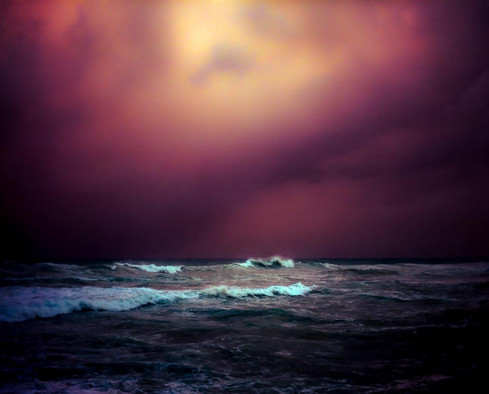 NicolaMuirhead_DescendantsOfSummer_0-2