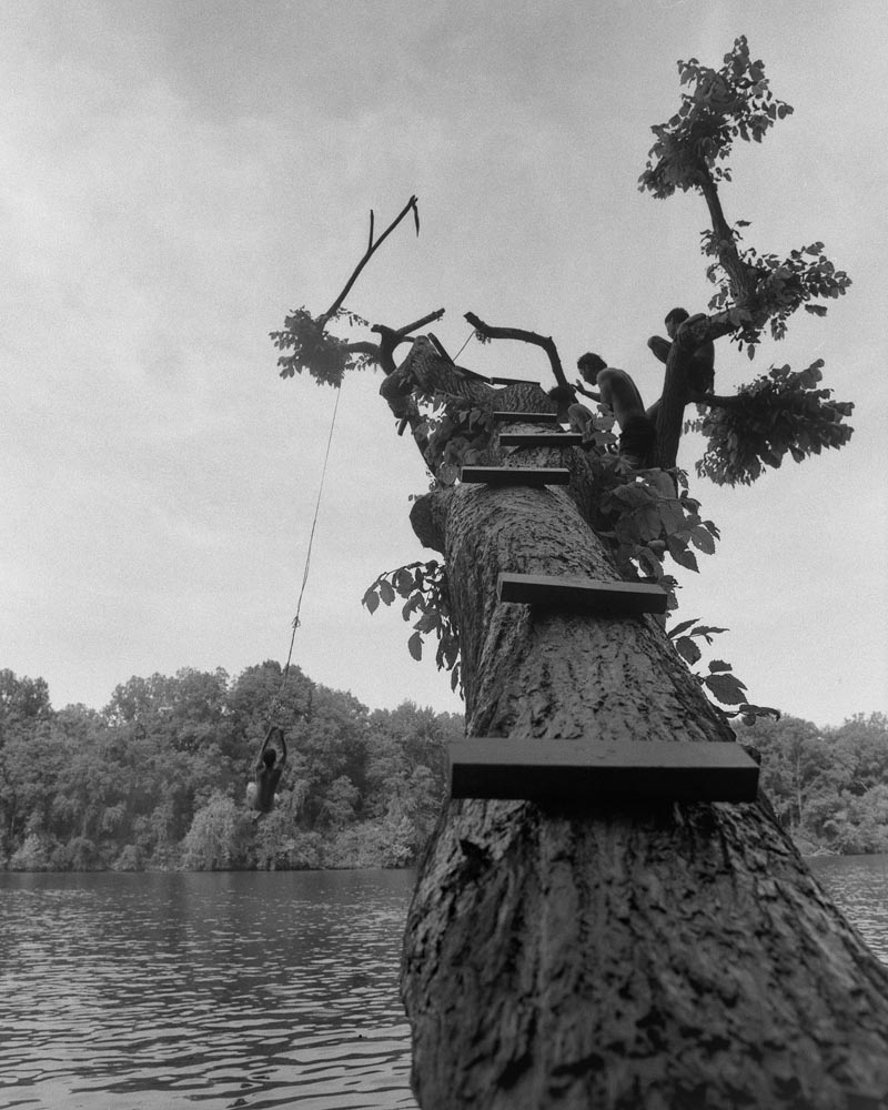 ackFox_-Tree-Along-The-James_07