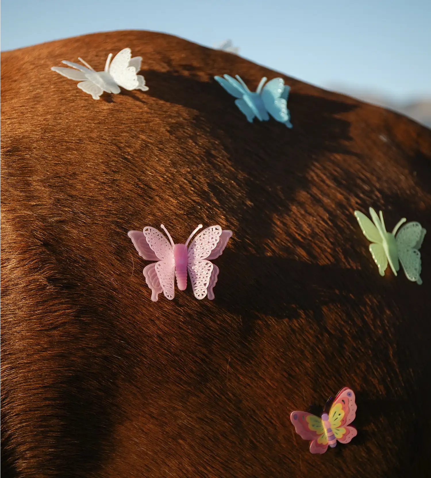 Butterflies-Tulbagh-innovate-grant-Gabrielle-Kannemeyer-c