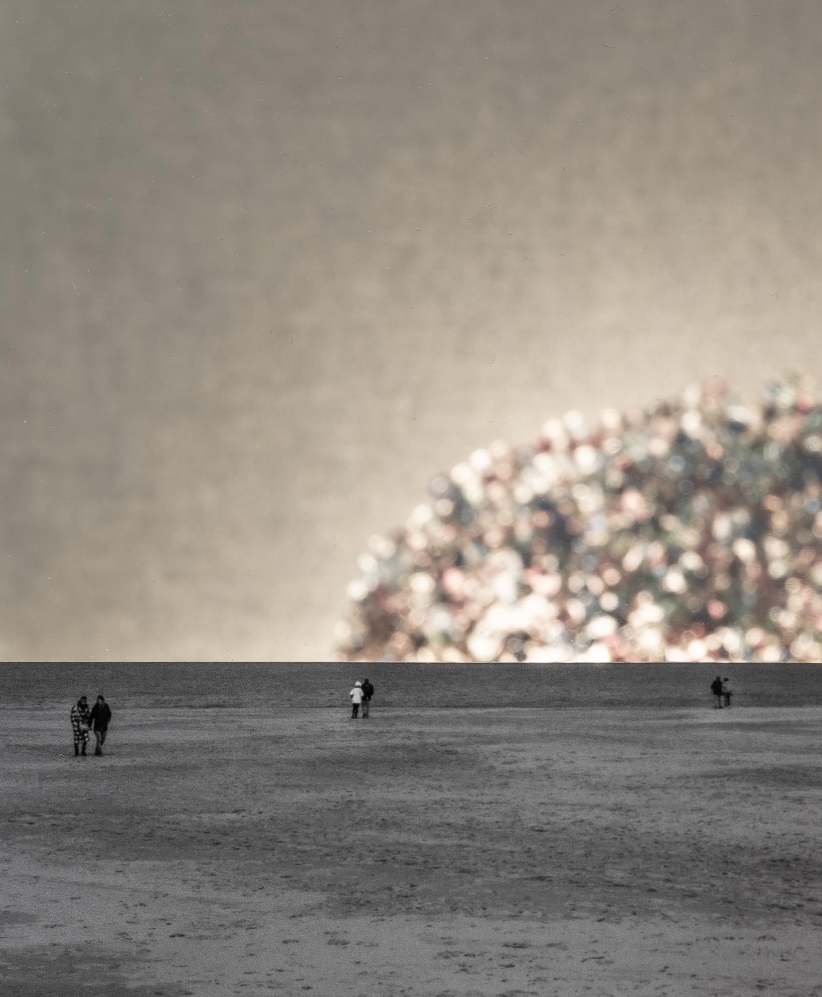 New-Dawn_08-innovate-grant-Marc-Verbeek